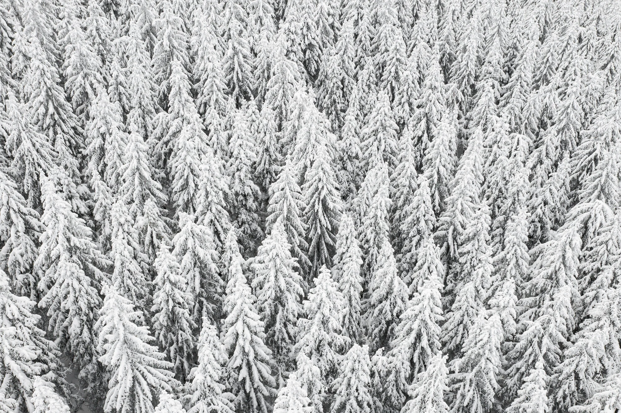 winter roads series V