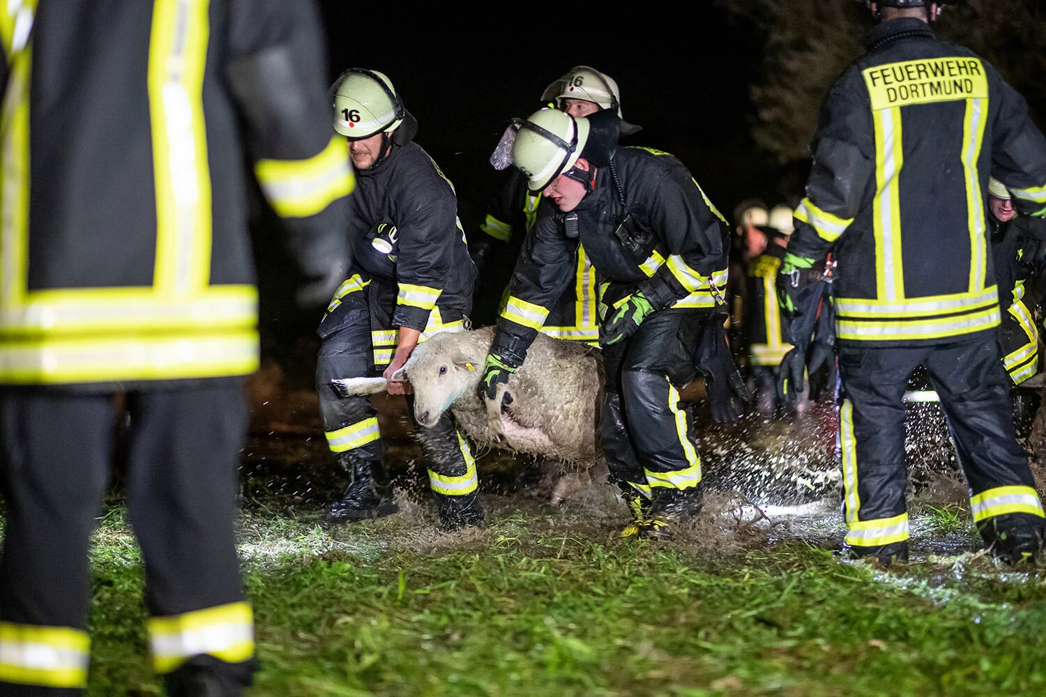 Bildjournalismus | NRW-Pressefoto 2019
