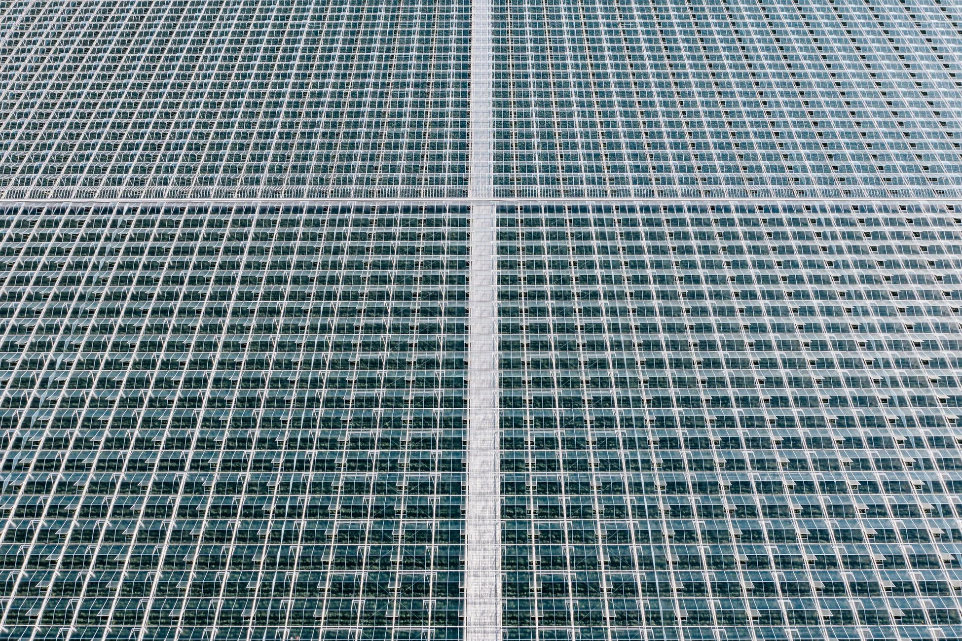 Drohnenfotografie | Gewächshaus VII