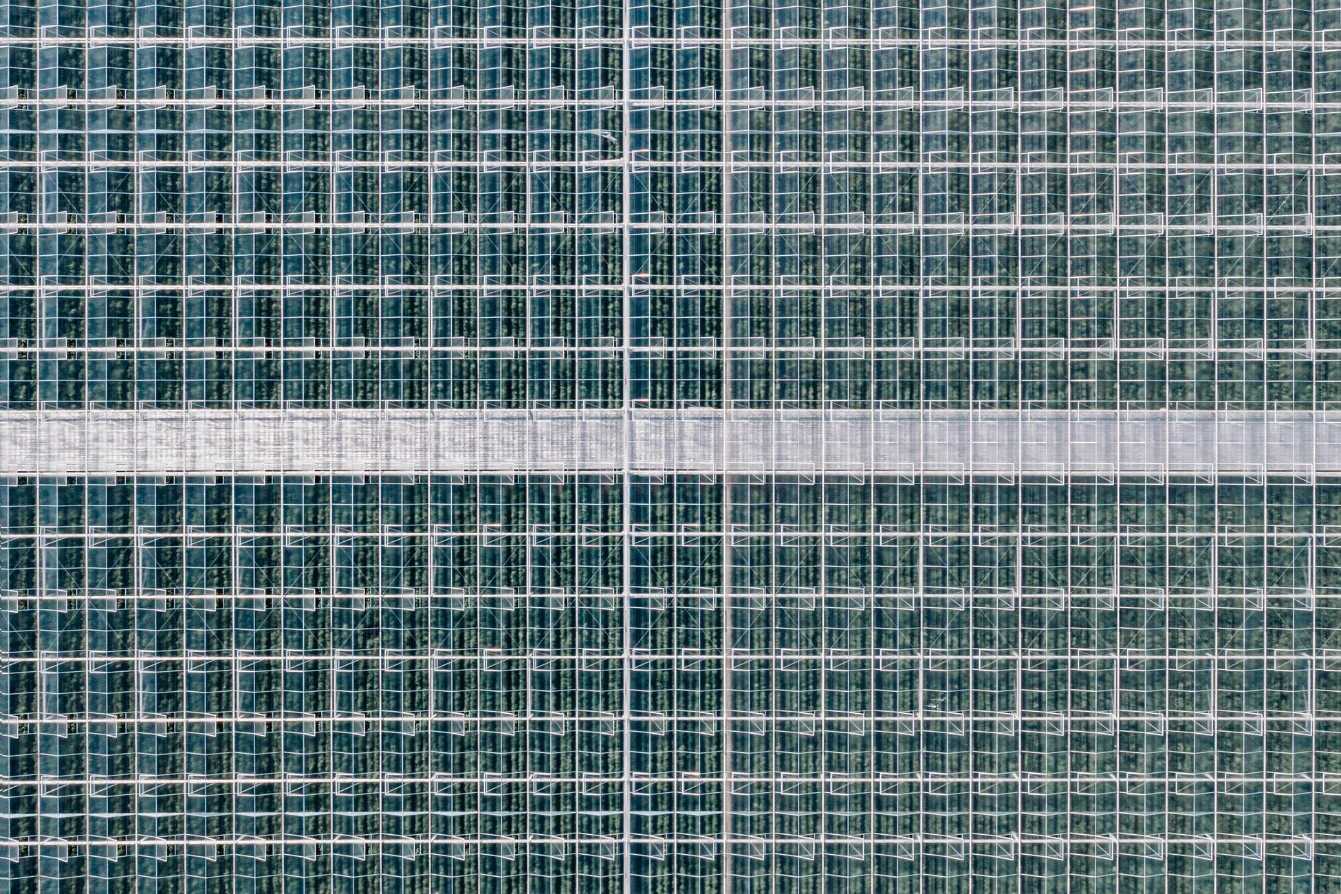 Drohnenfotografie | Gewächshaus IV