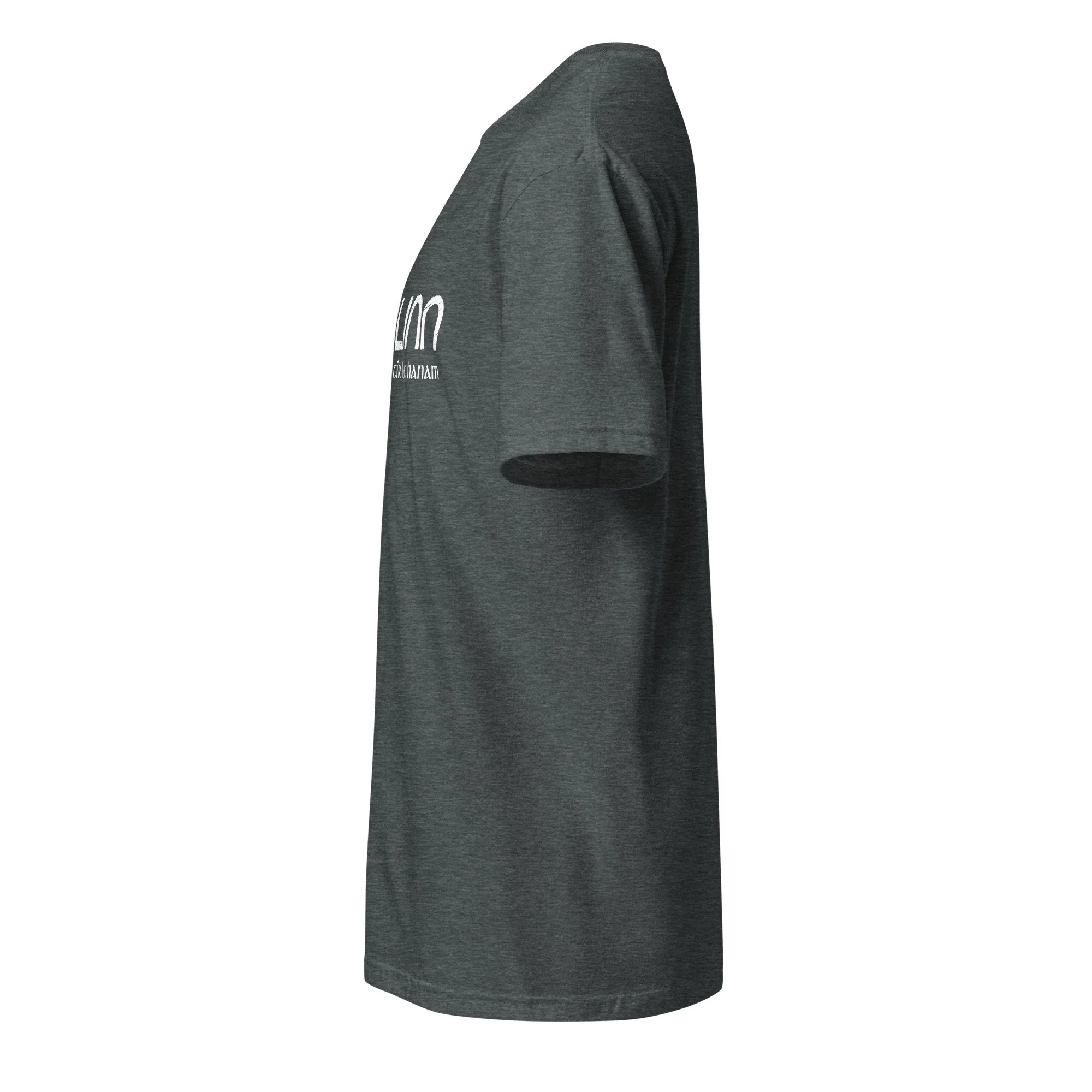unisex-basic-softstyle-t-shirt-dark-heather-left-6a5cd7fe622a7.jpg