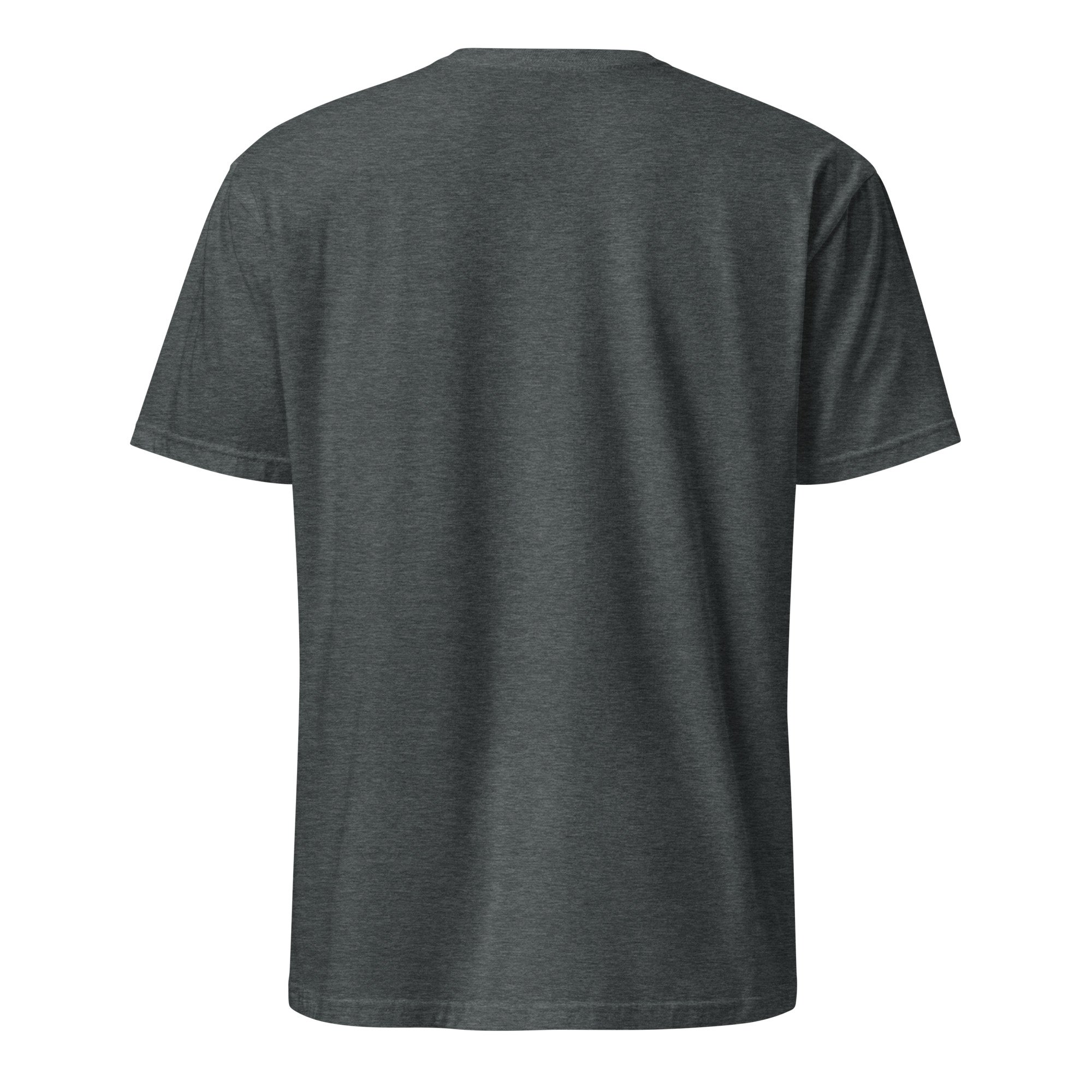 unisex-basic-softstyle-t-shirt-dark-heather-back-6a5cdb627854f.jpg