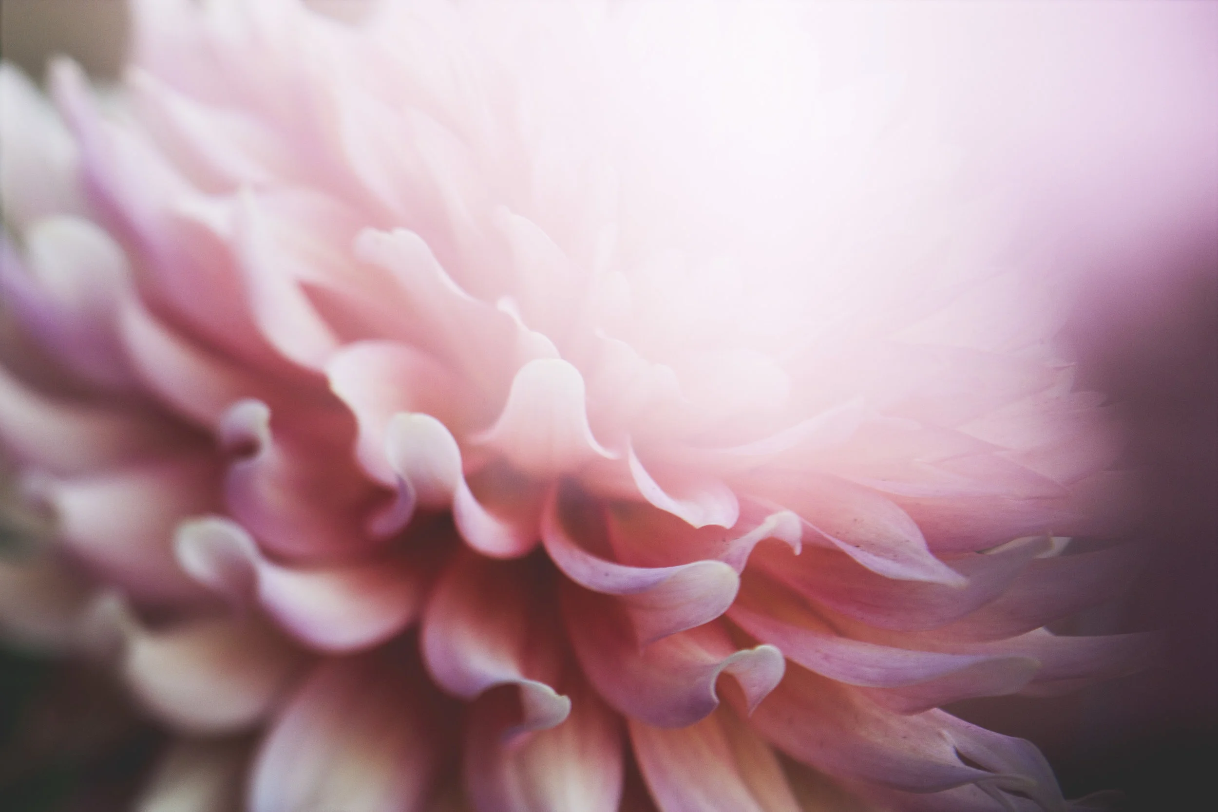 204E82DE-5393-4DCE-950A-527D0FD6219D.jpeg