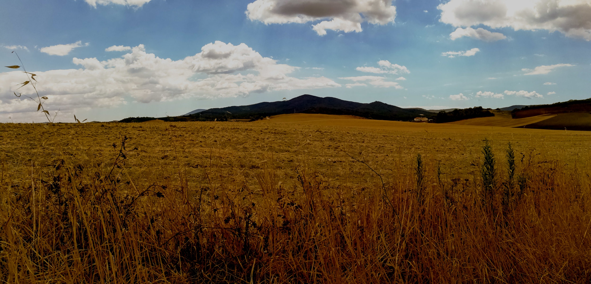 AdobeStock_167589082.jpg