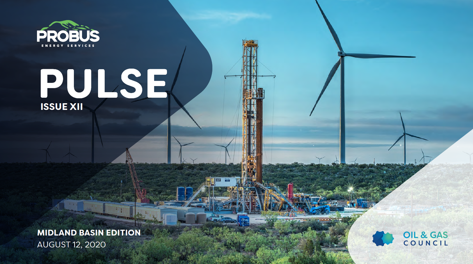 Midland Basin Pulse XII