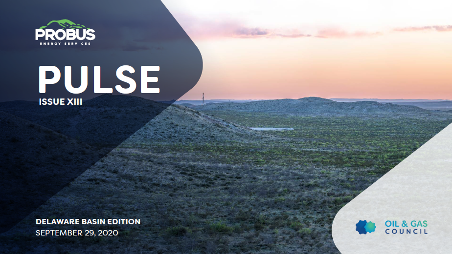 Delaware Basin Pulse XIII