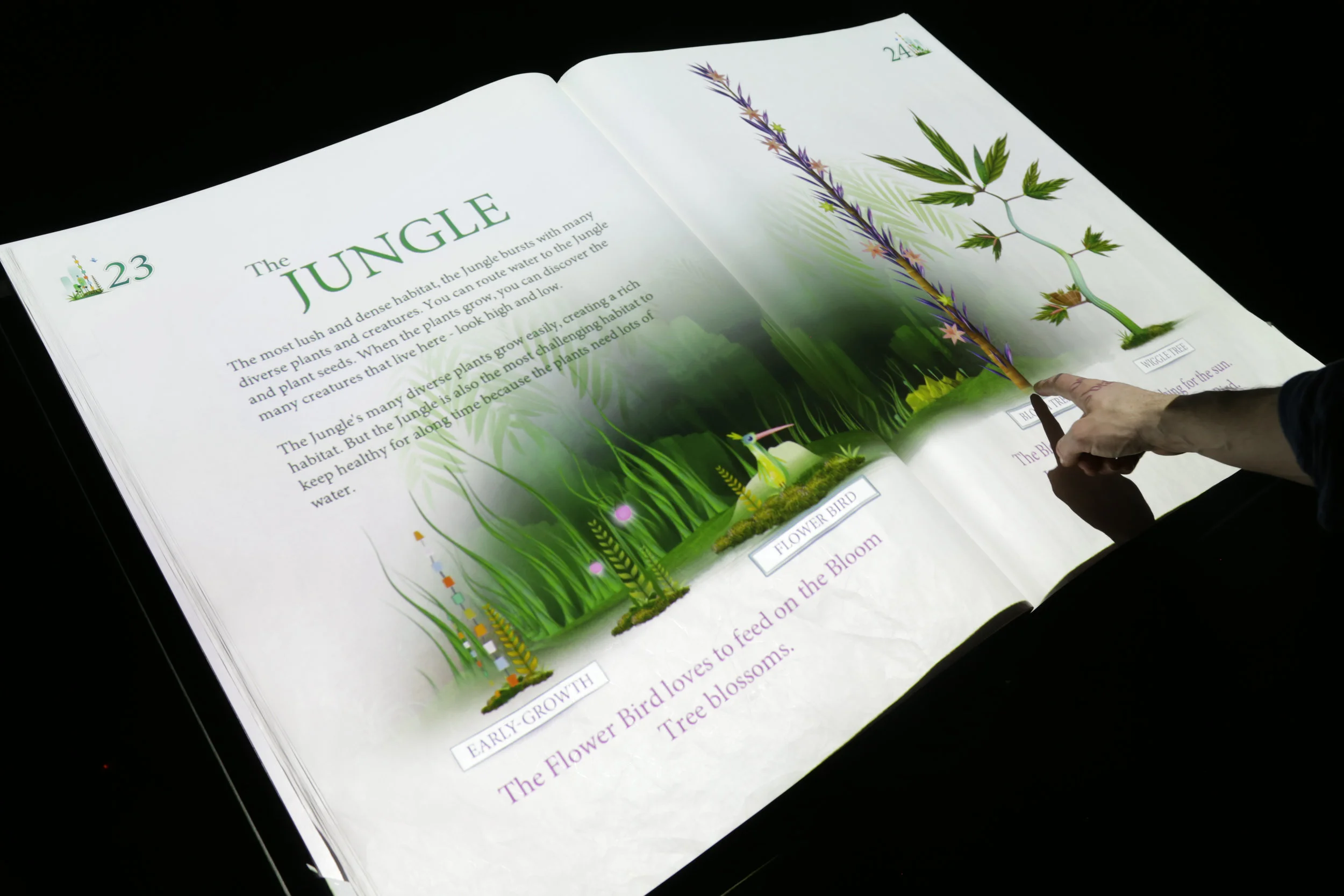 jungle_0534.jpg