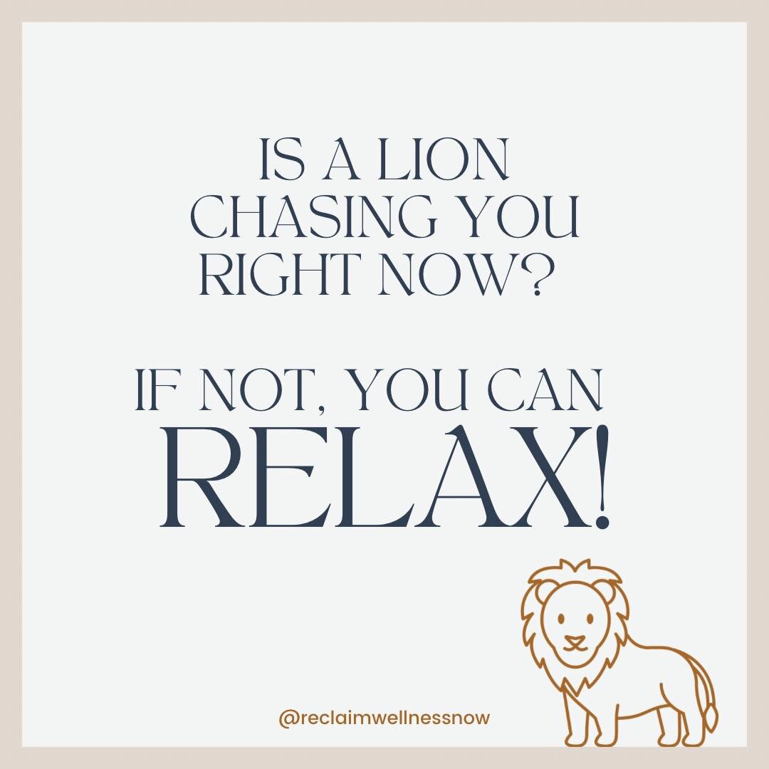 Living each moment as if it's an emergency can result in frayed nerves, disrupted sleep, weight gain, and hormonal imbalances. 

Chronic or prolonged stress may lead to digestive issues, developing food allergies, problems with PMS, cycle regularity,