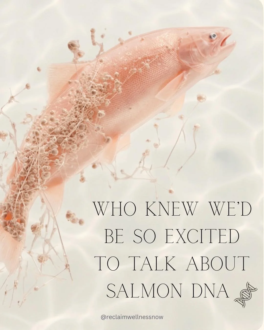 Everyone is talking about "Salmon DNA" for a reason! ✨🐟

We know, it sounds a little strange, but this ingredient (scientifically called PDRN) is a game-changer for women looking to seriously address fine lines and restore that incredible,