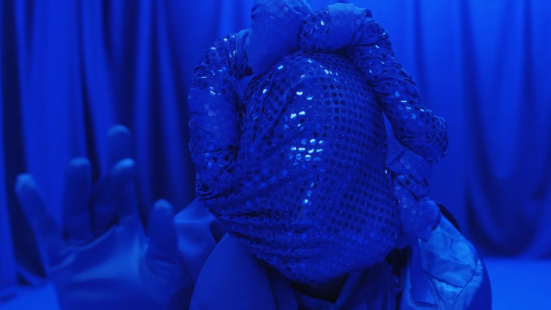  In dance film Performance by Gustavo Gomes a young boy, hidden in a room for years, training for a day X. A strange creature by his side. An obscure group around them. And a big plan that shall change everything.  This fairy tale is concerned with t