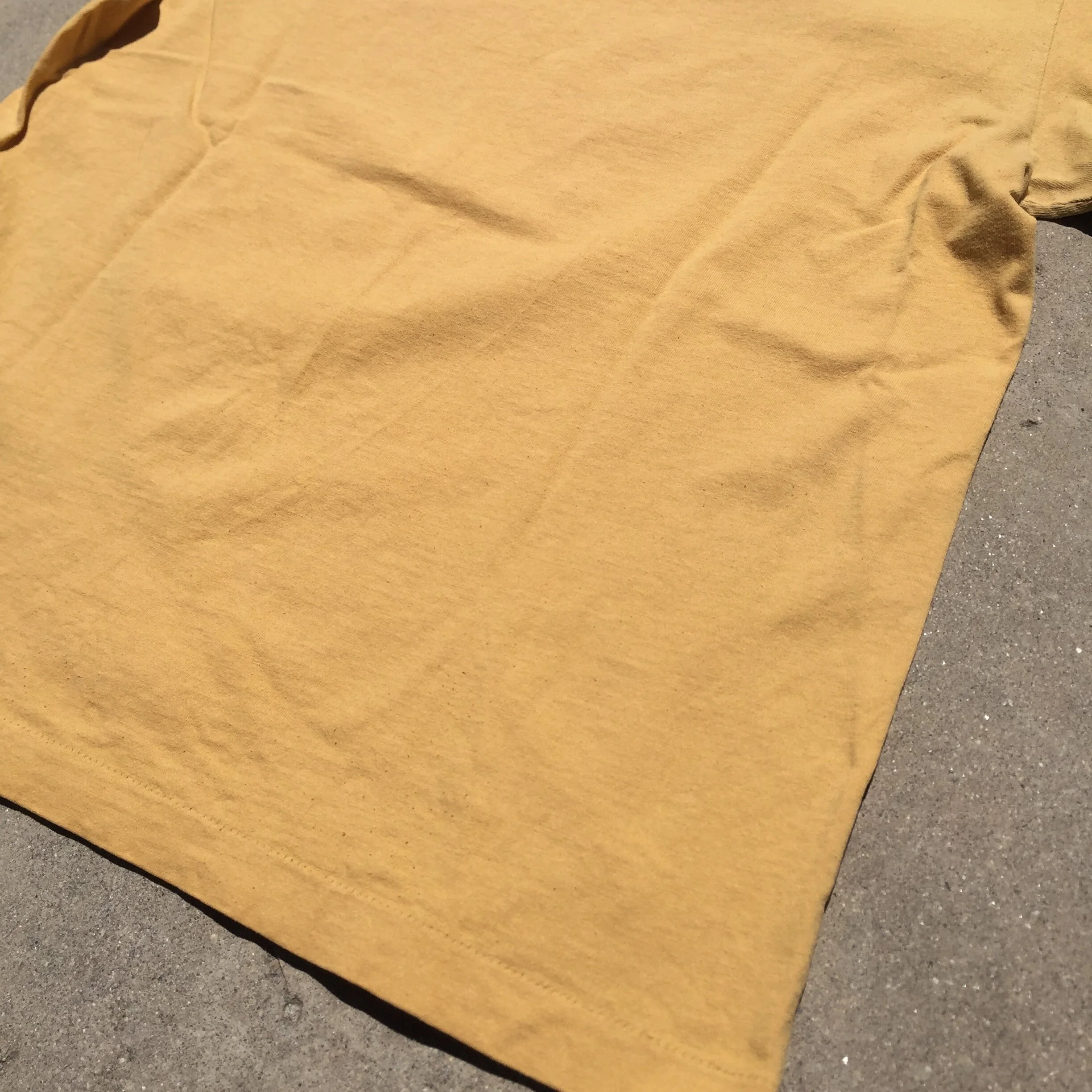 GD_MustardYellow_2_8.JPG