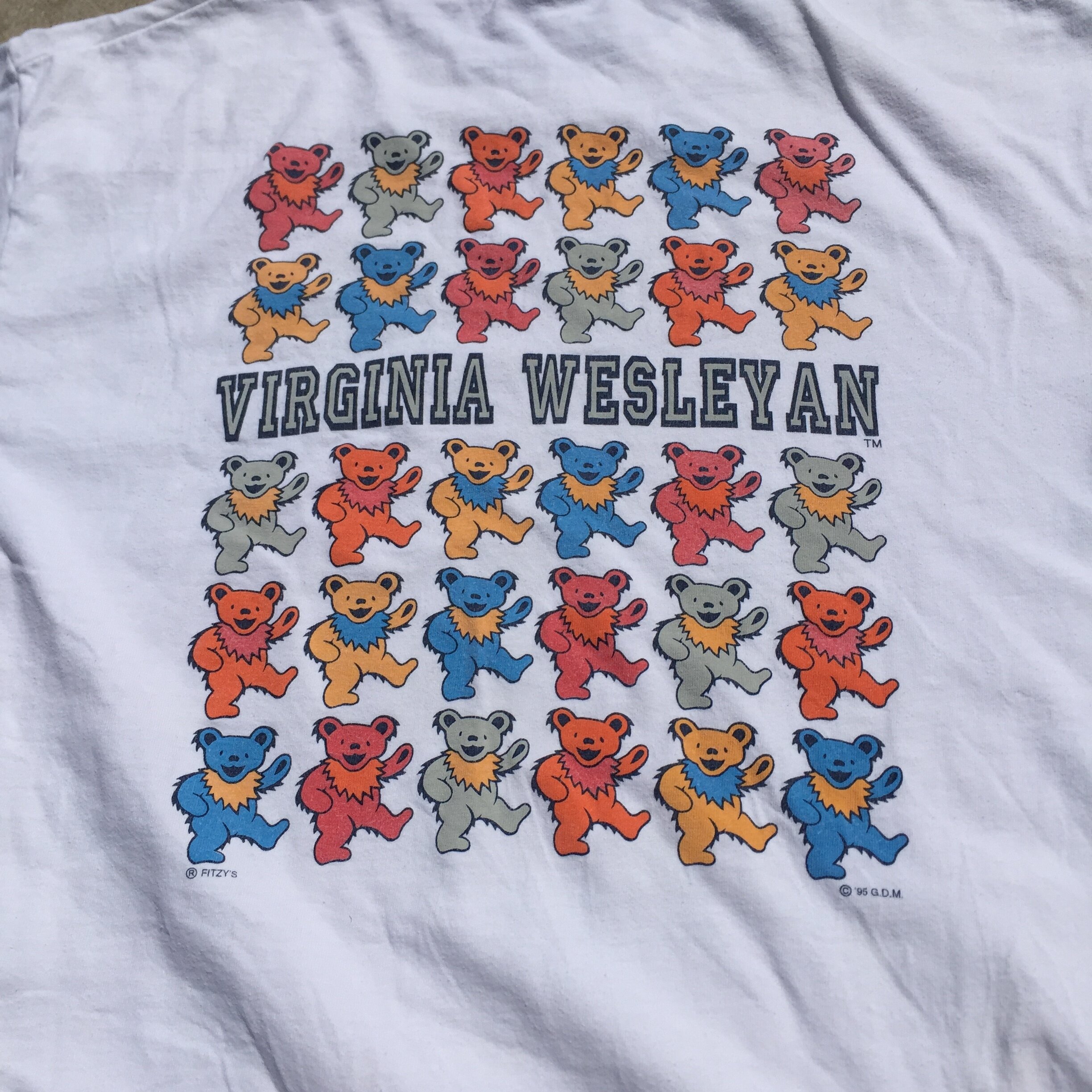 GD_virginiawesleyancollegetee_2.JPG