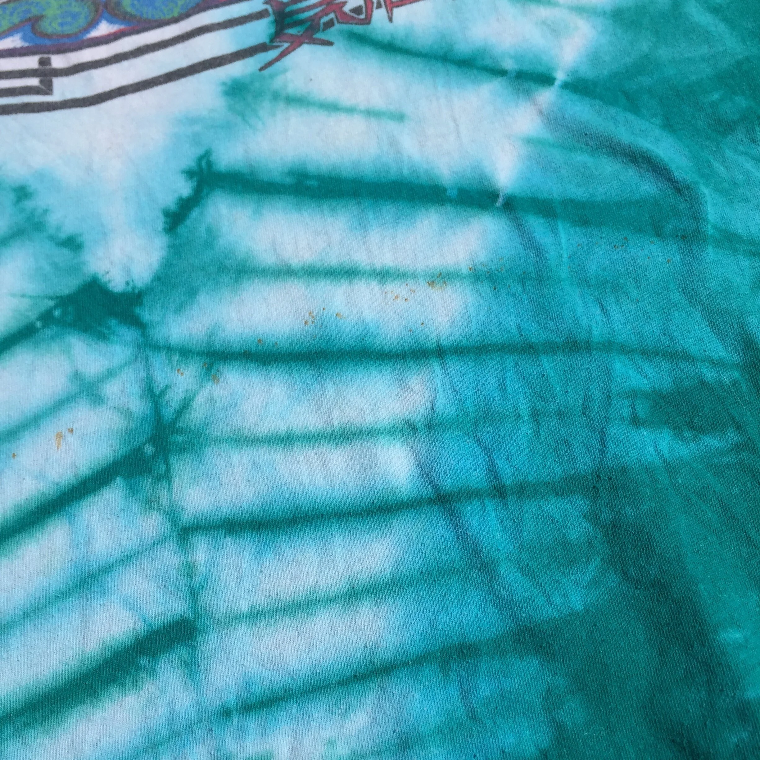 MikioTealDragonandHeartShirt_5.JPG