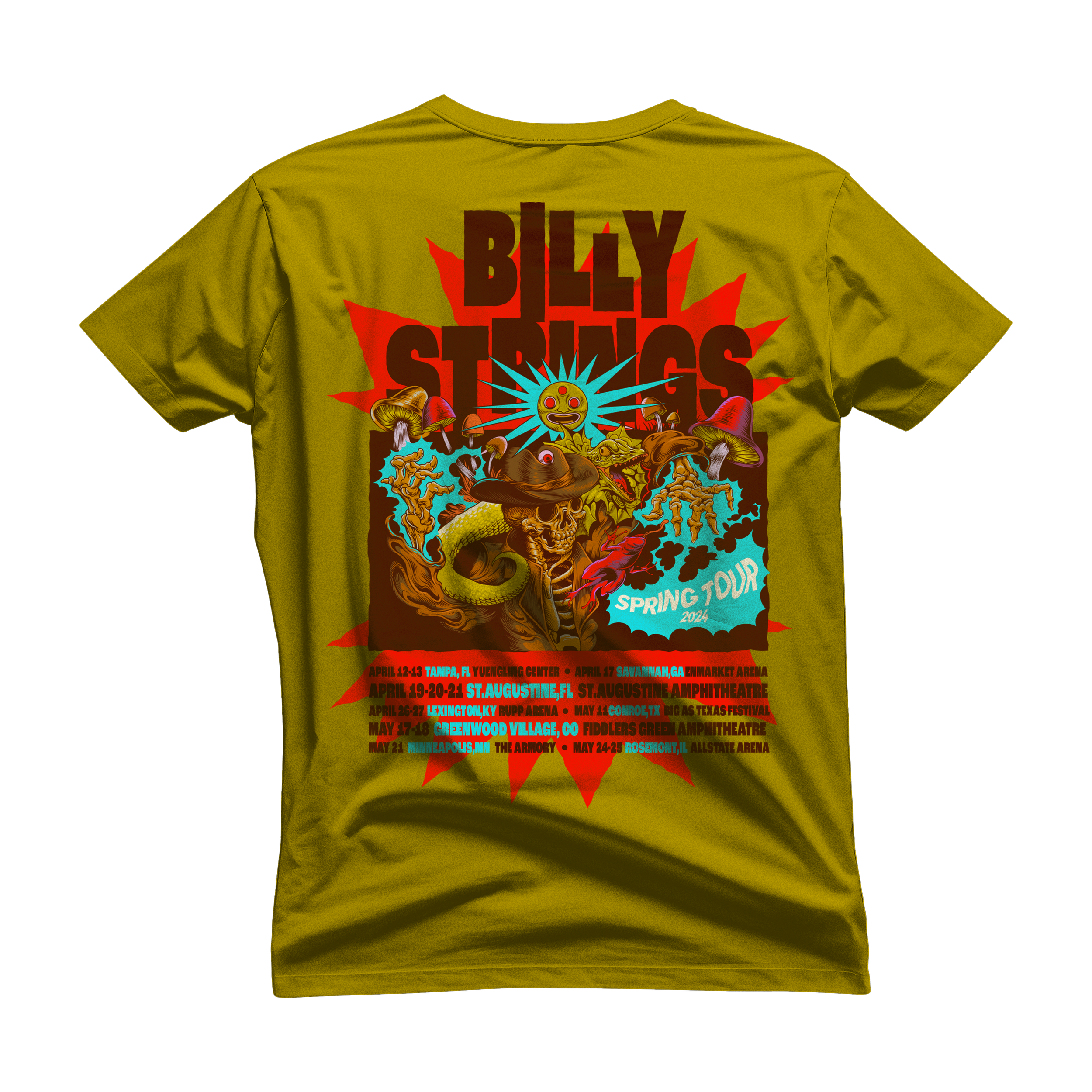 Billystrings_shirt_back.png
