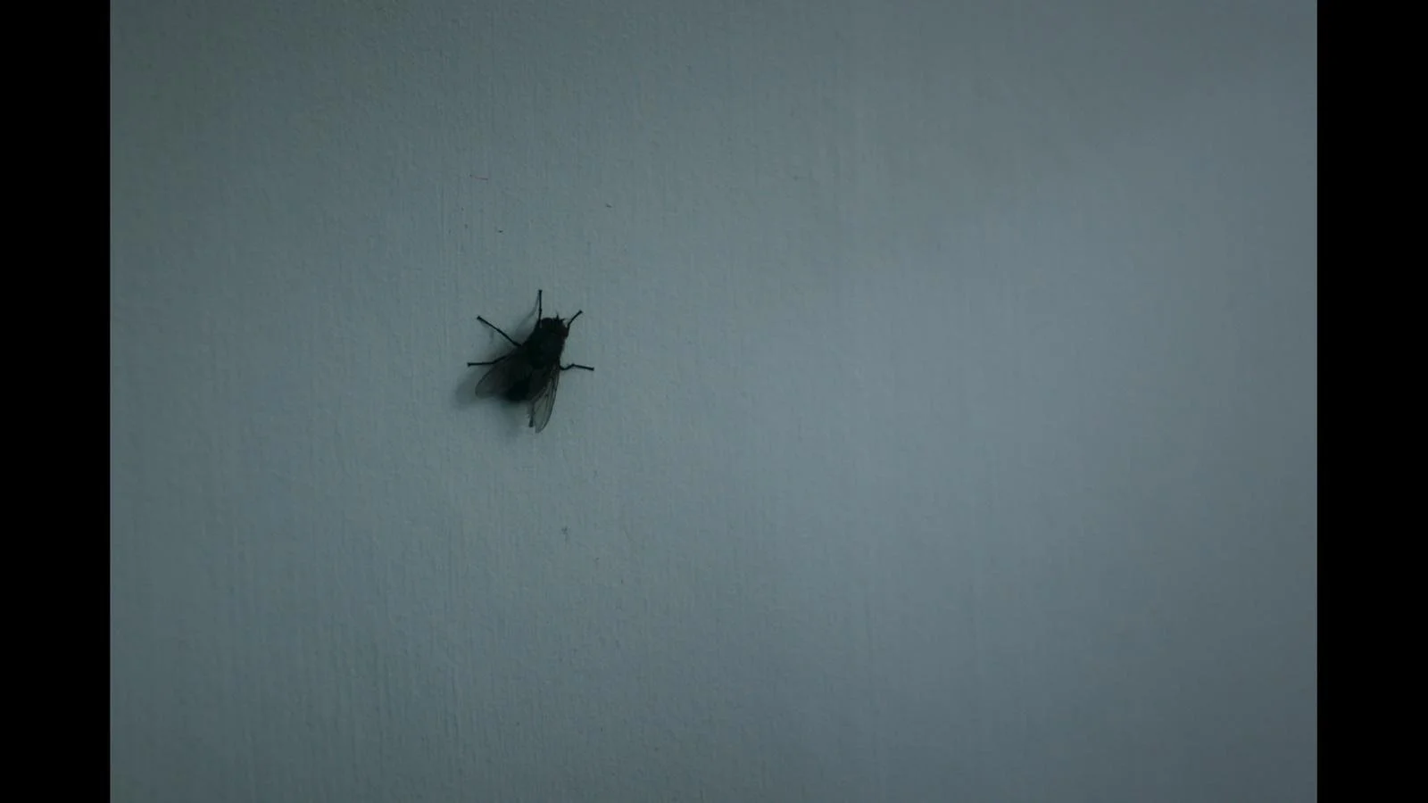 WhatsApp Image 2024-07-15 at 16.50.06.jpeg