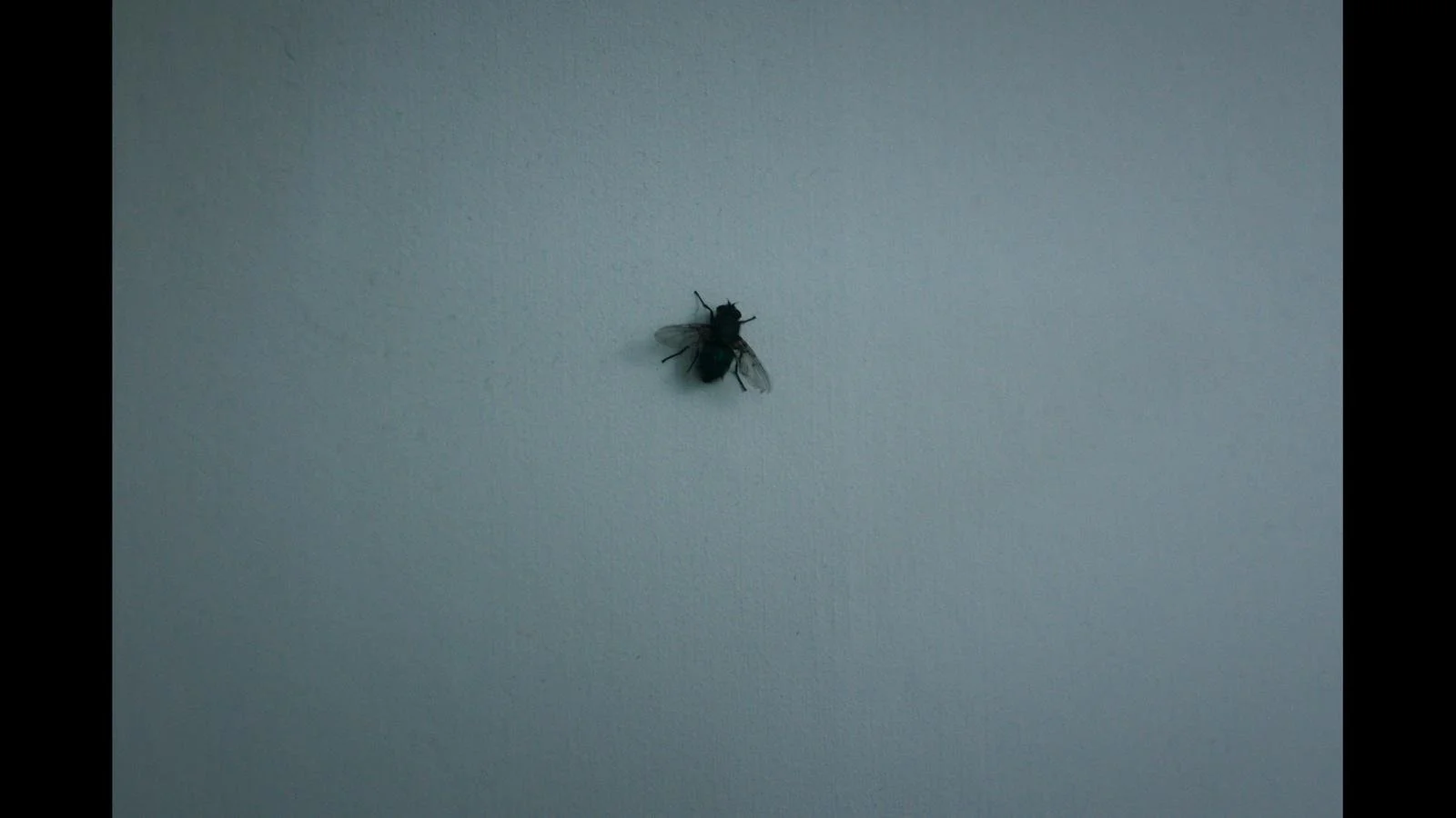 WhatsApp Image 2024-07-15 at 16.50.14 (1).jpeg