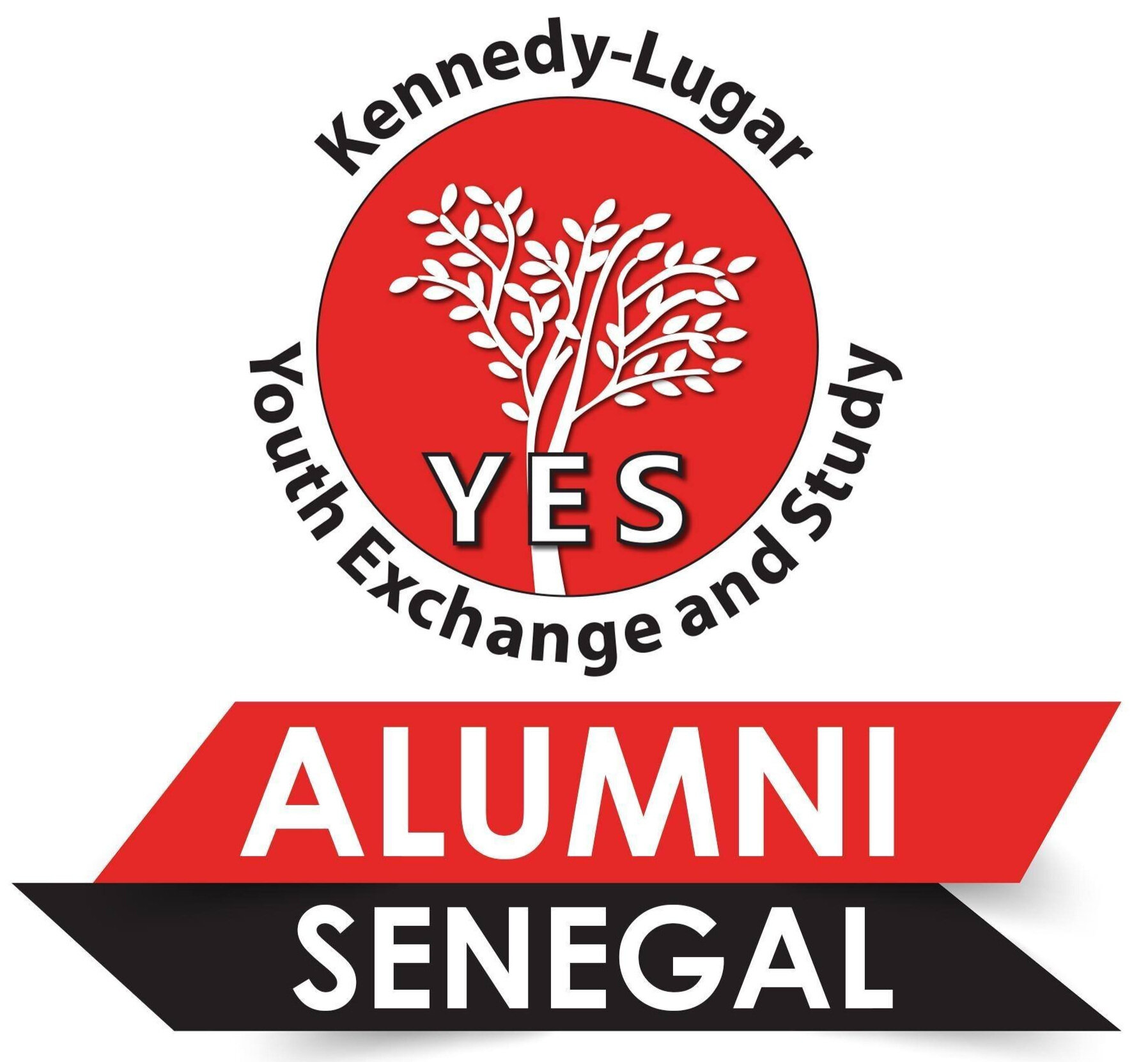 Senegal+YES+Alumni.jpg
