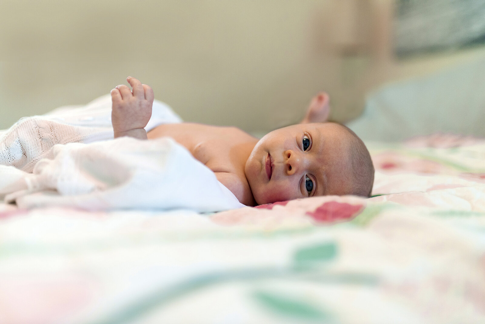 cooper-city-newborn-photographer_05.jpg