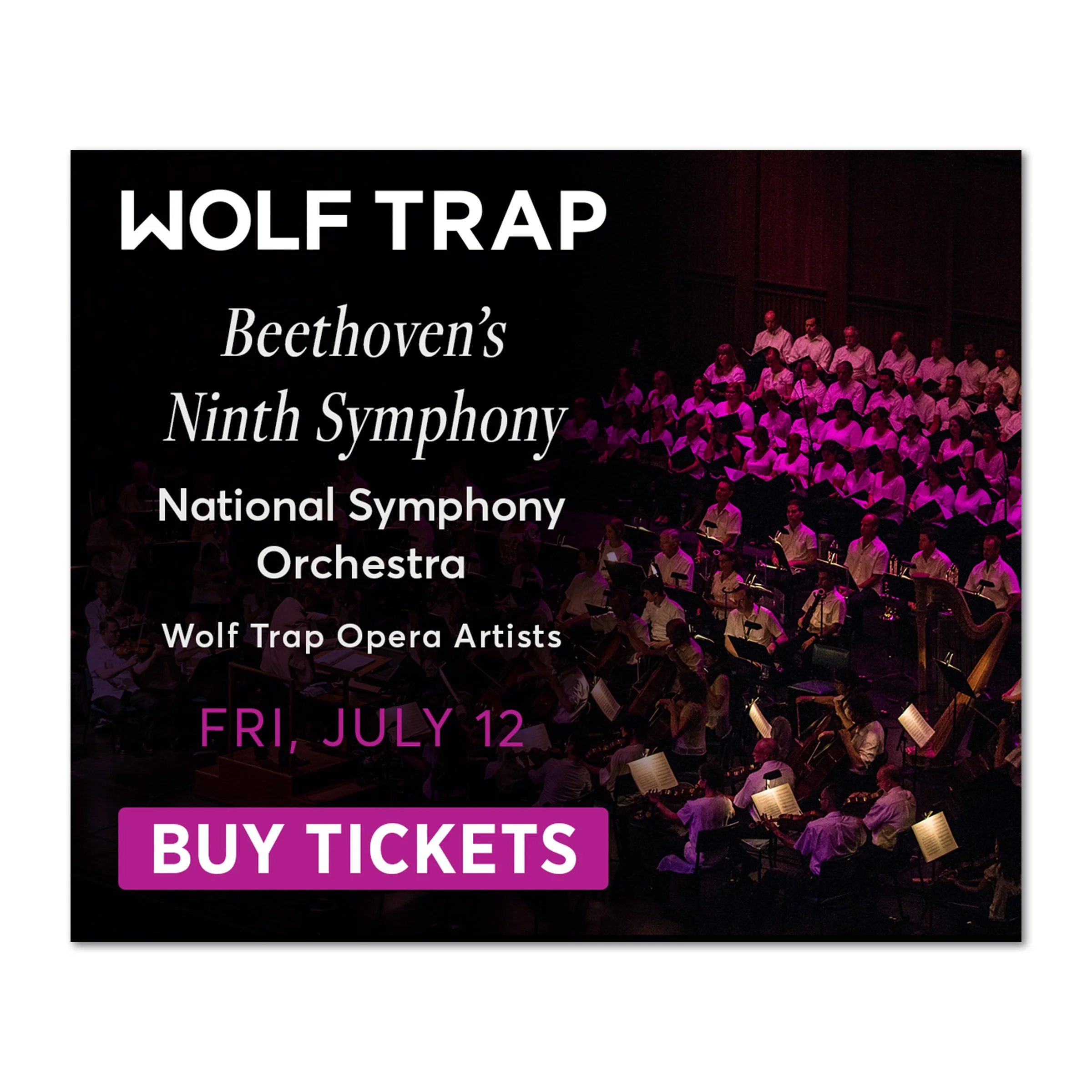 2024 BEETHOVEN'S NINTH SYMPHONY DISPLAY BANNERS 