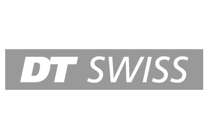 DTSwiss.png