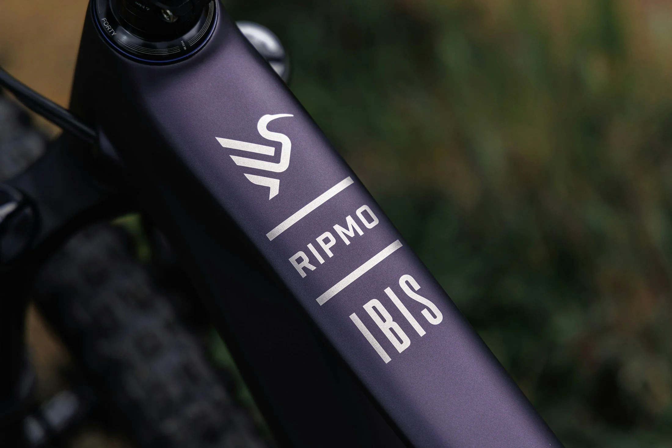 Ibis-Ripmo-3-Heckleberry-Purple-28.jpg