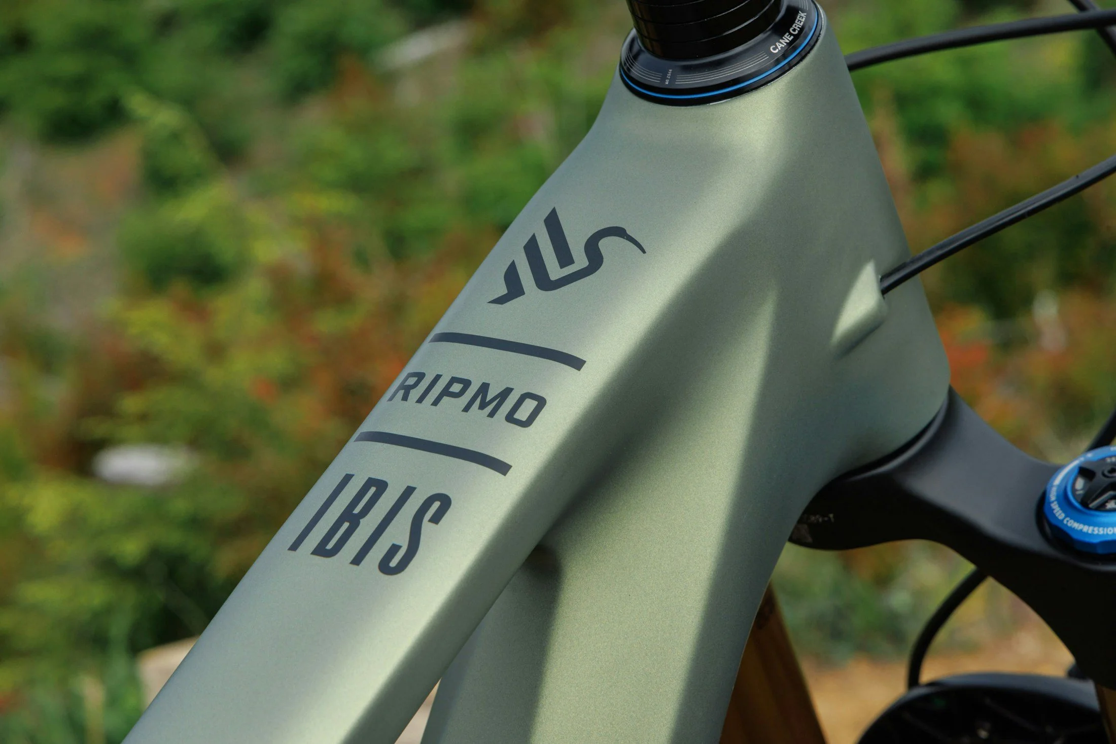 Ibis-Ripmo-3-Olive-Green-Swamp-Monster-17.jpg