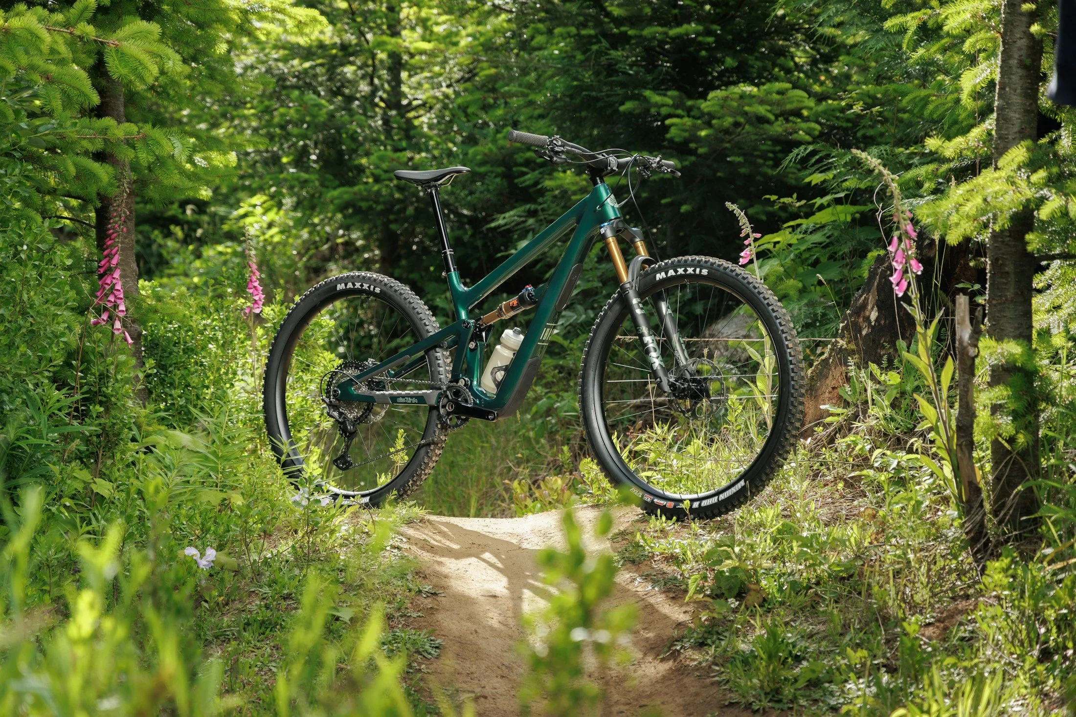 Ibis-Ripley-V5-Swamp-Monster-Green-2.jpg