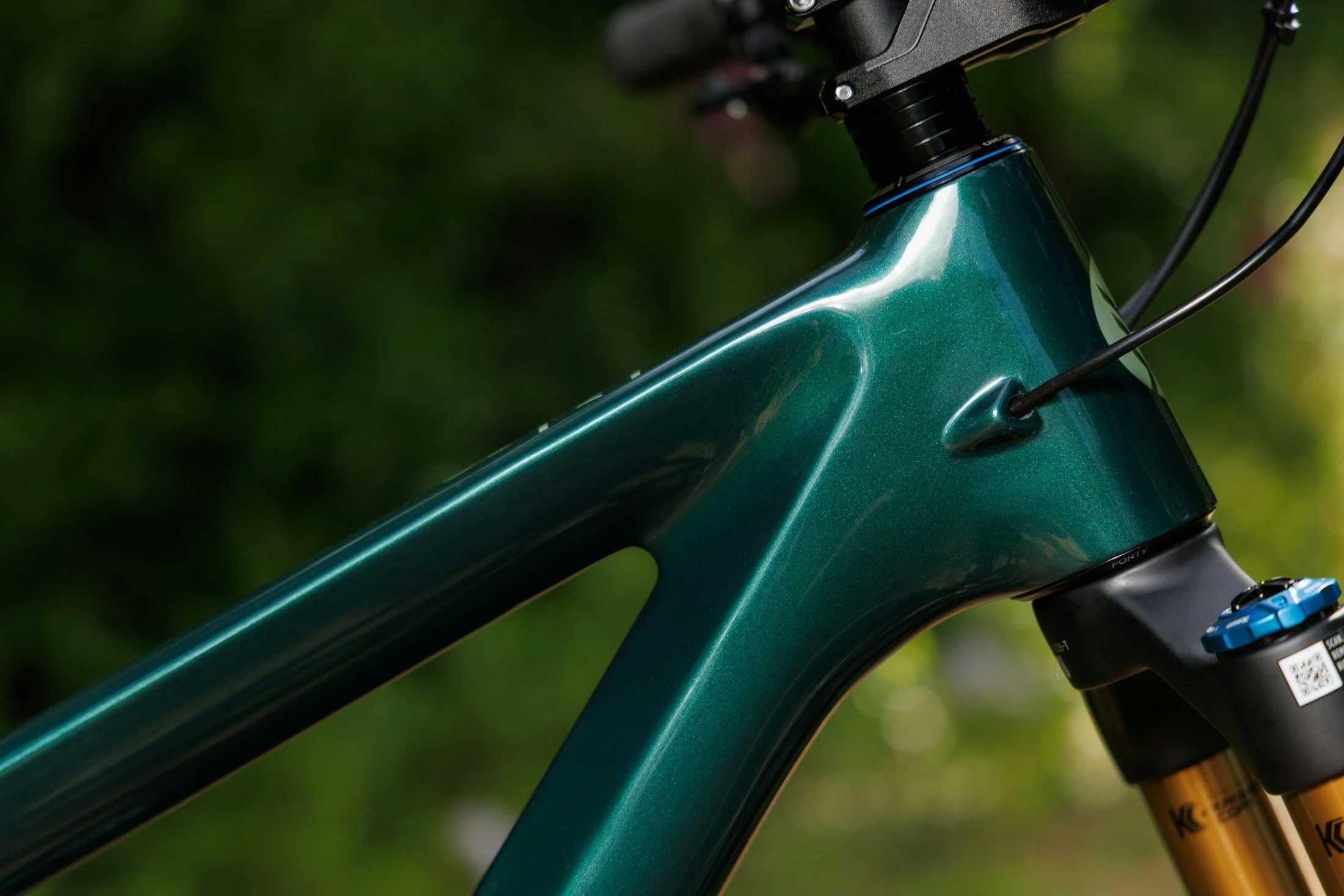 Ibis-Ripley-V5-Swamp-Monster-Green-8.jpg