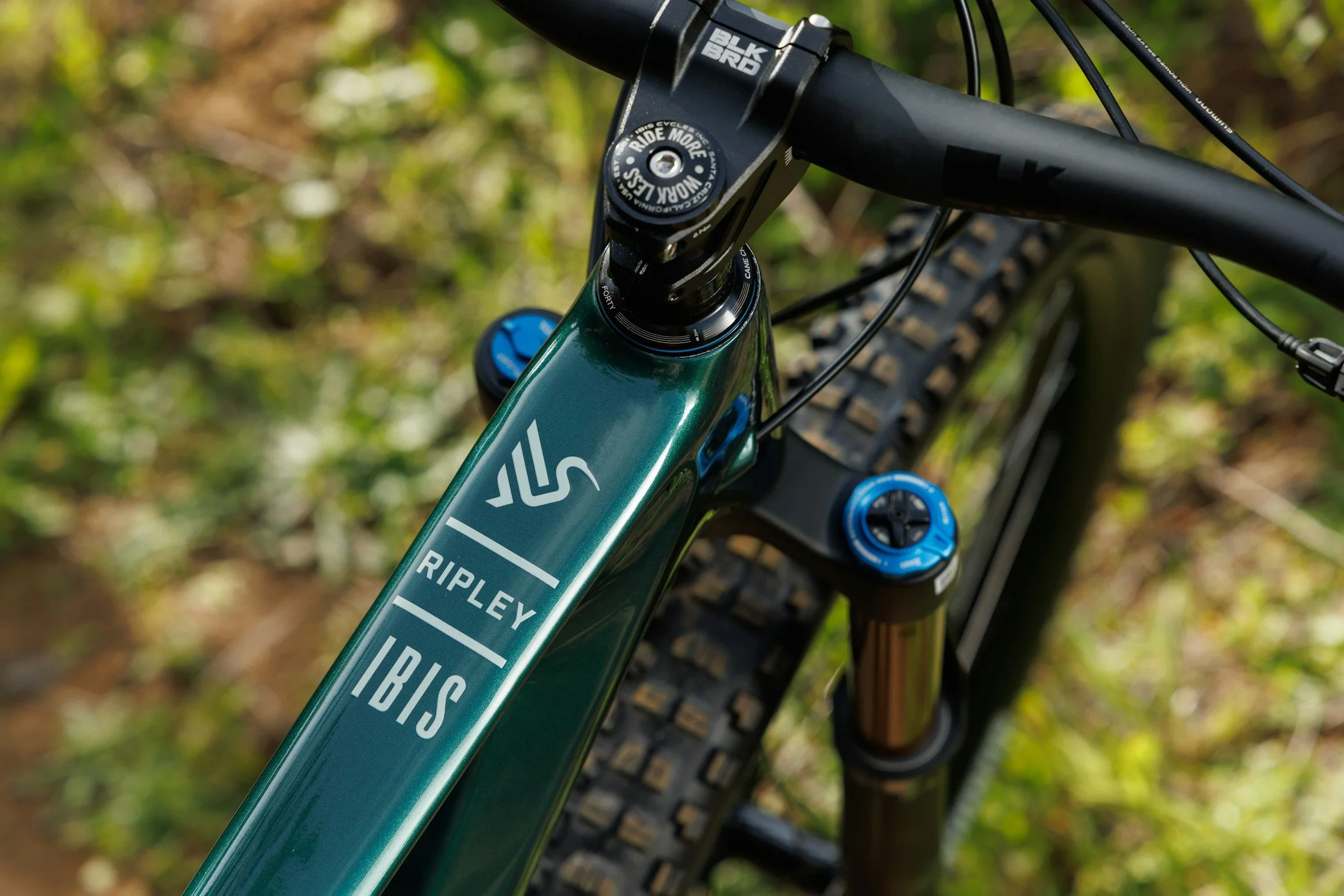 Ibis-Ripley-V5-Swamp-Monster-Green-11.jpg