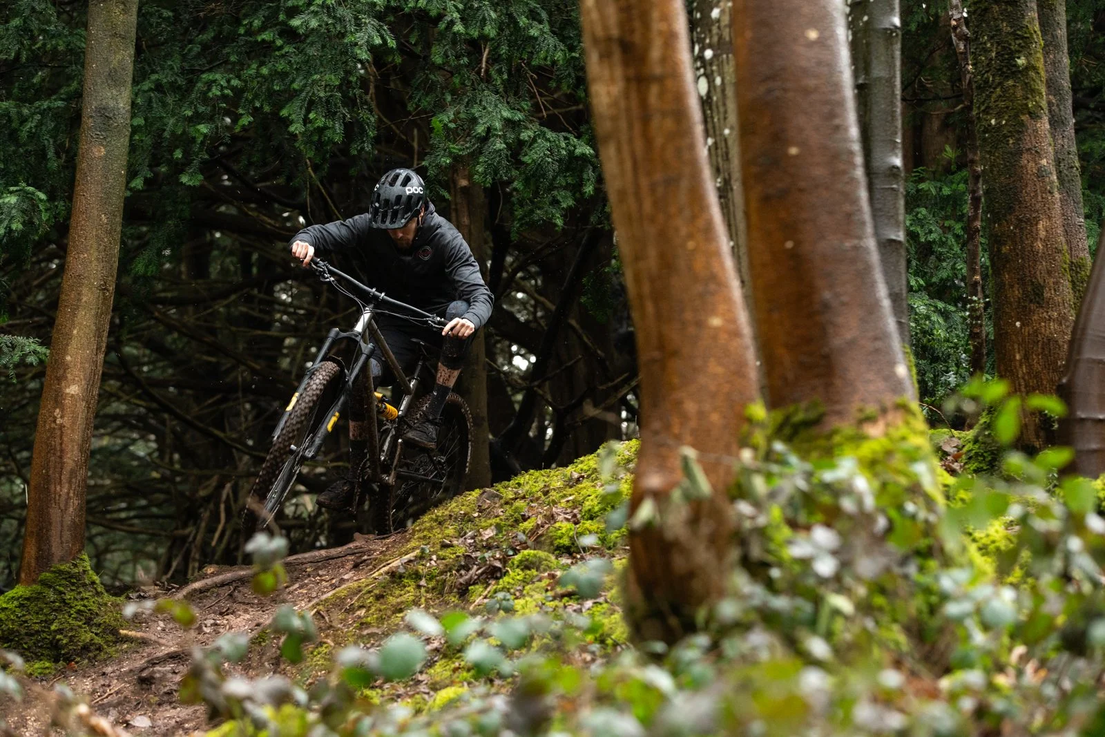 Starling Web-0051.jpg