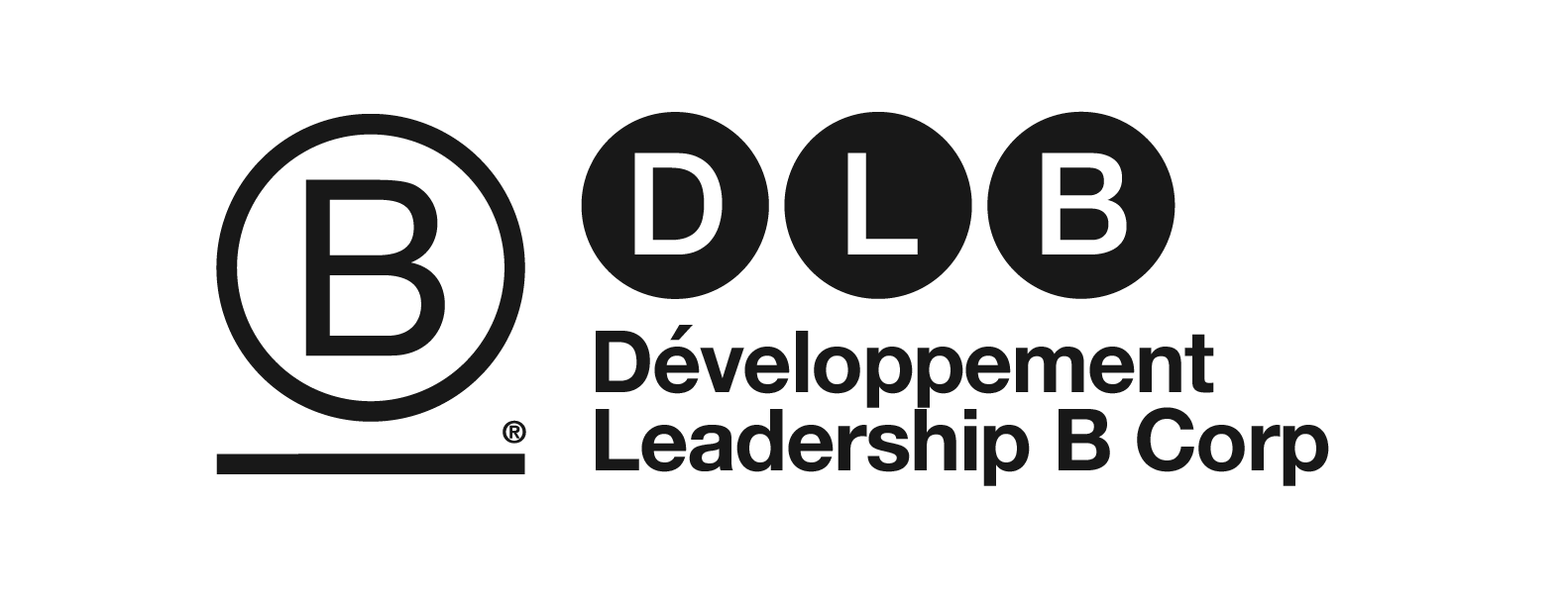 DLB Canada - Nous sommes tous connectés 1re partie : Réconciliation au ...