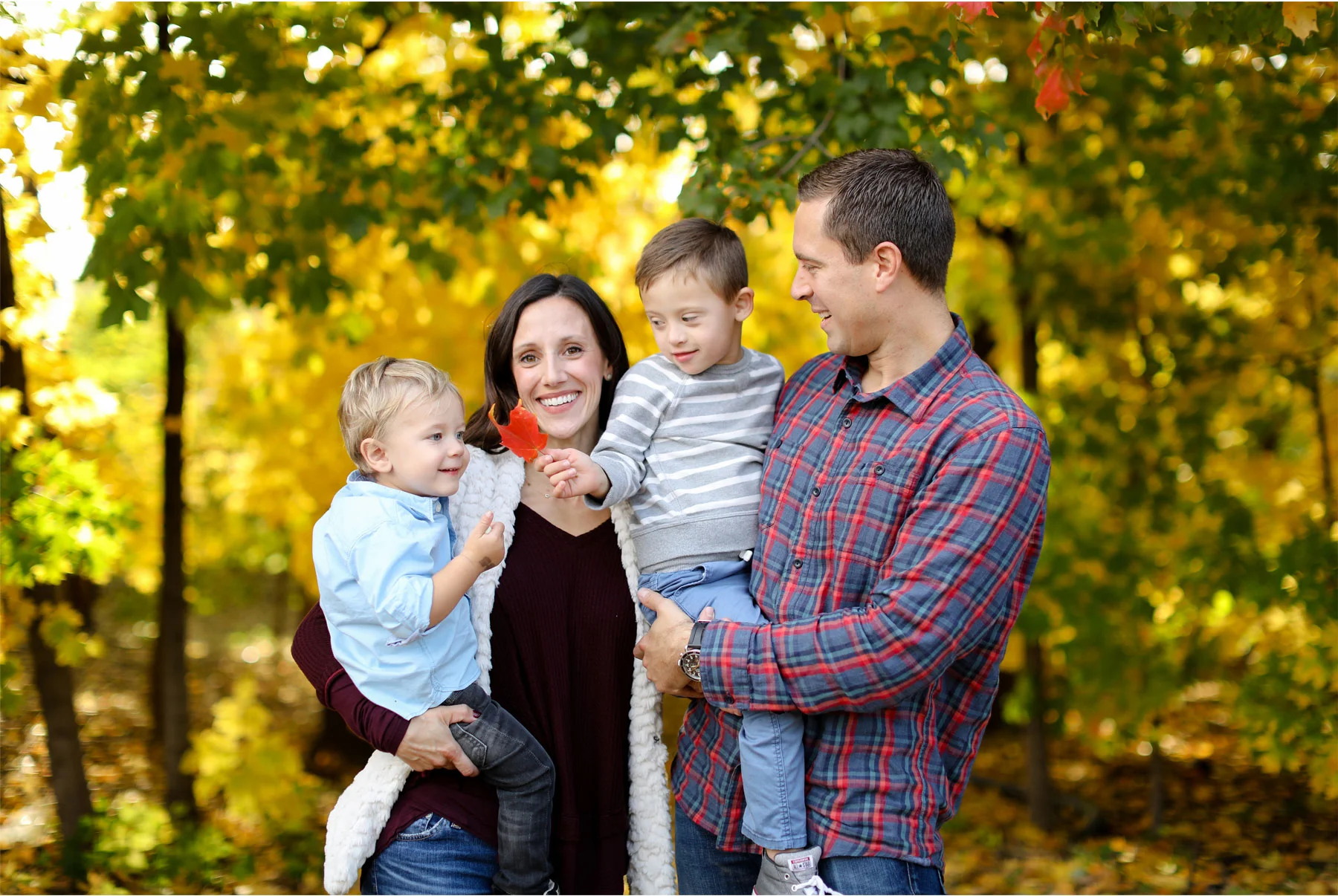 Multigeneration Memories