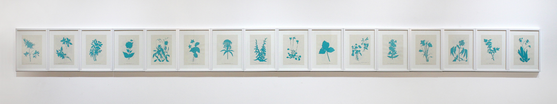 Light, 2014