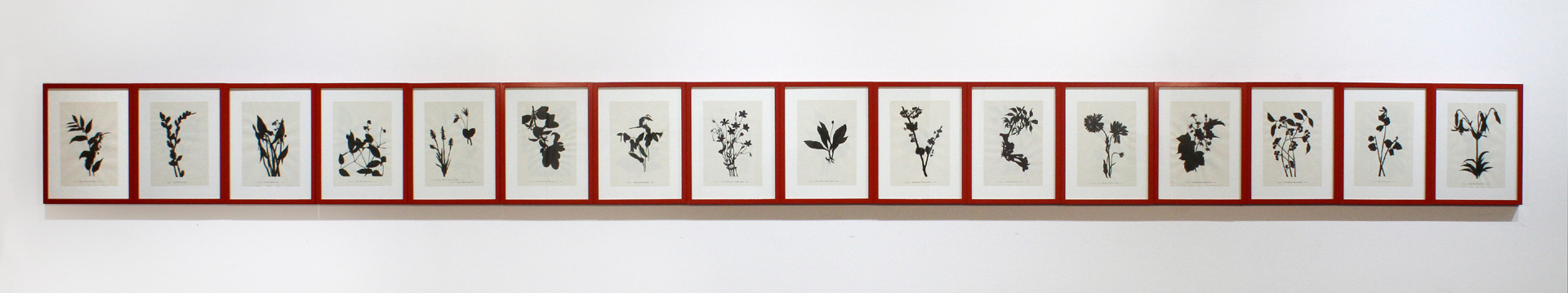 Carbon, 2014