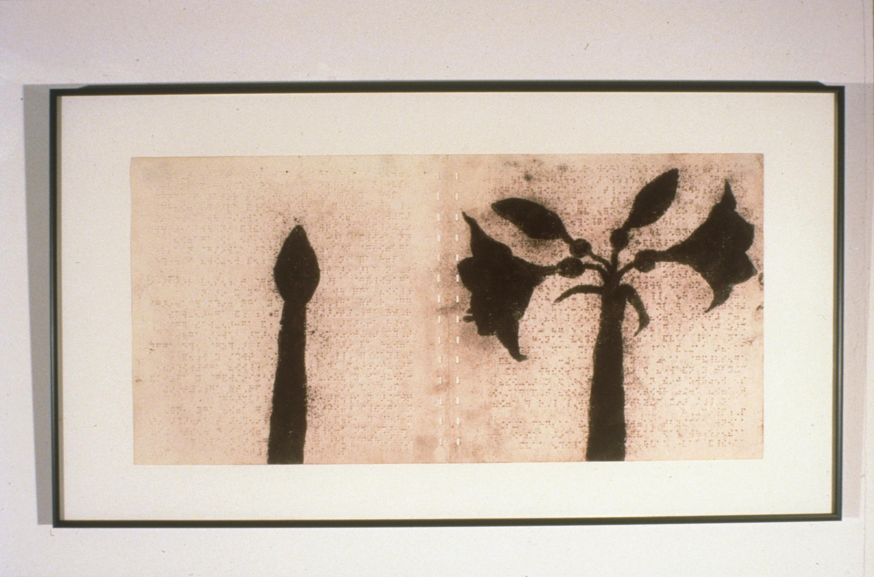 Untitled (amaryllis), 1998