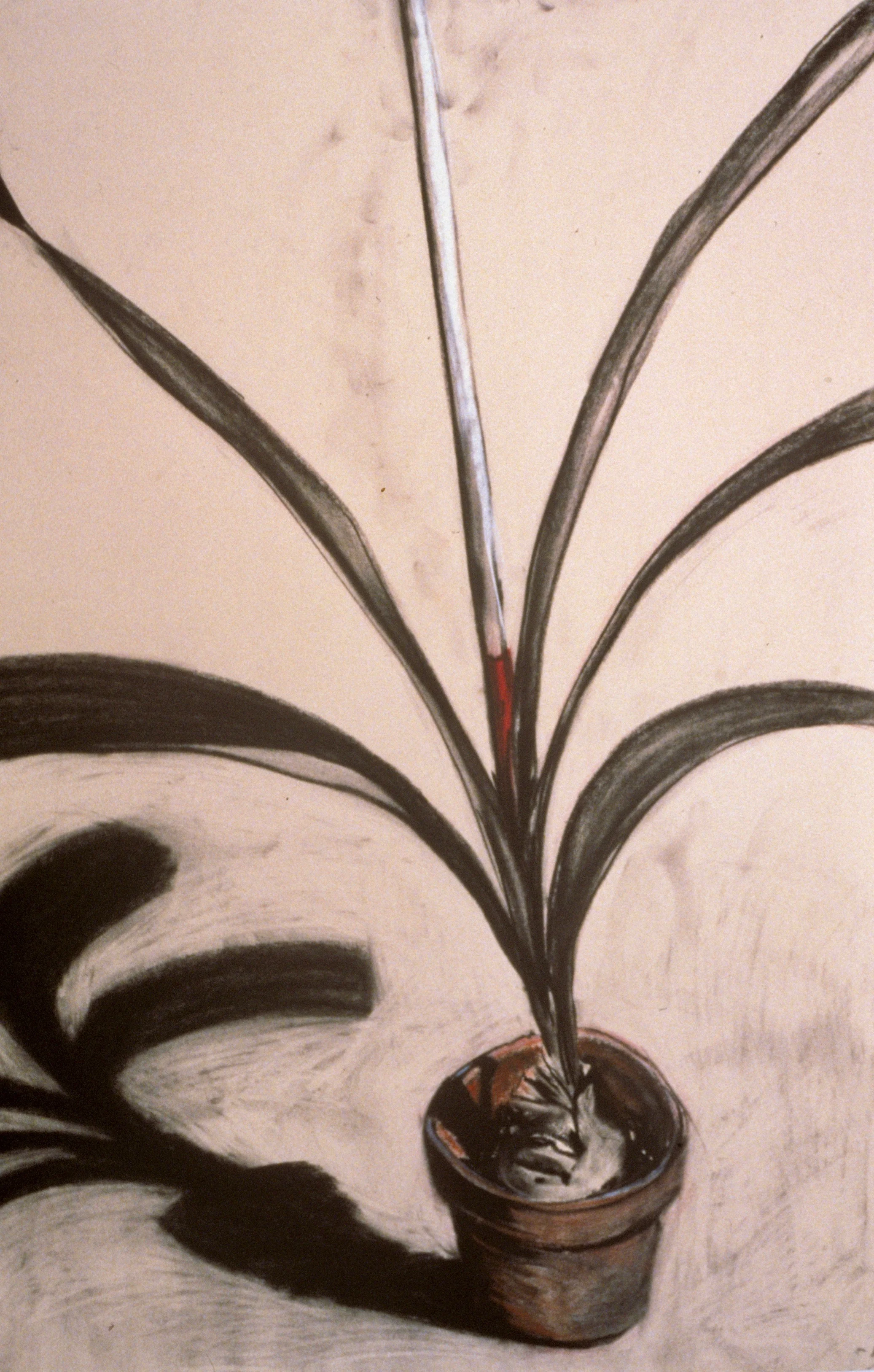 Untitled, 1991