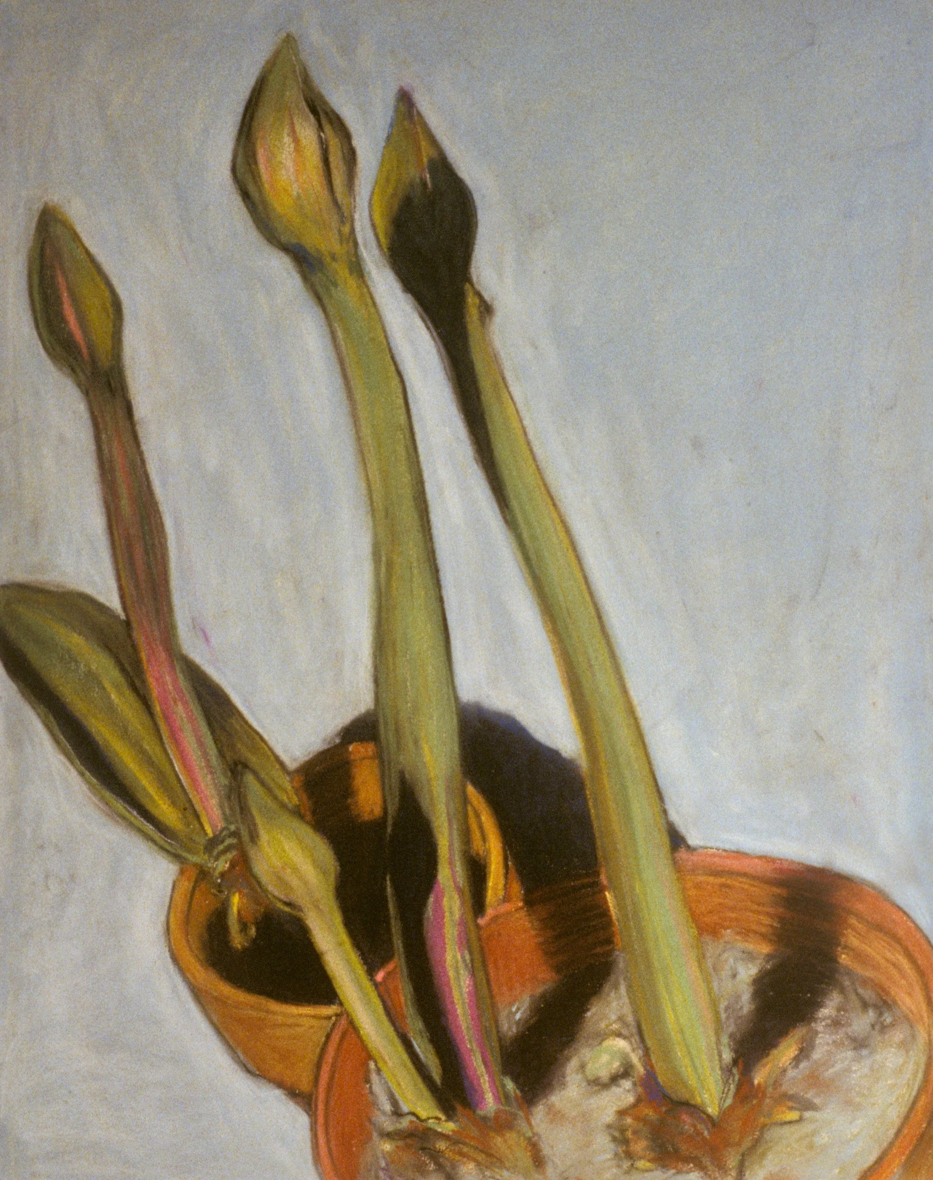 Untitled, 1992