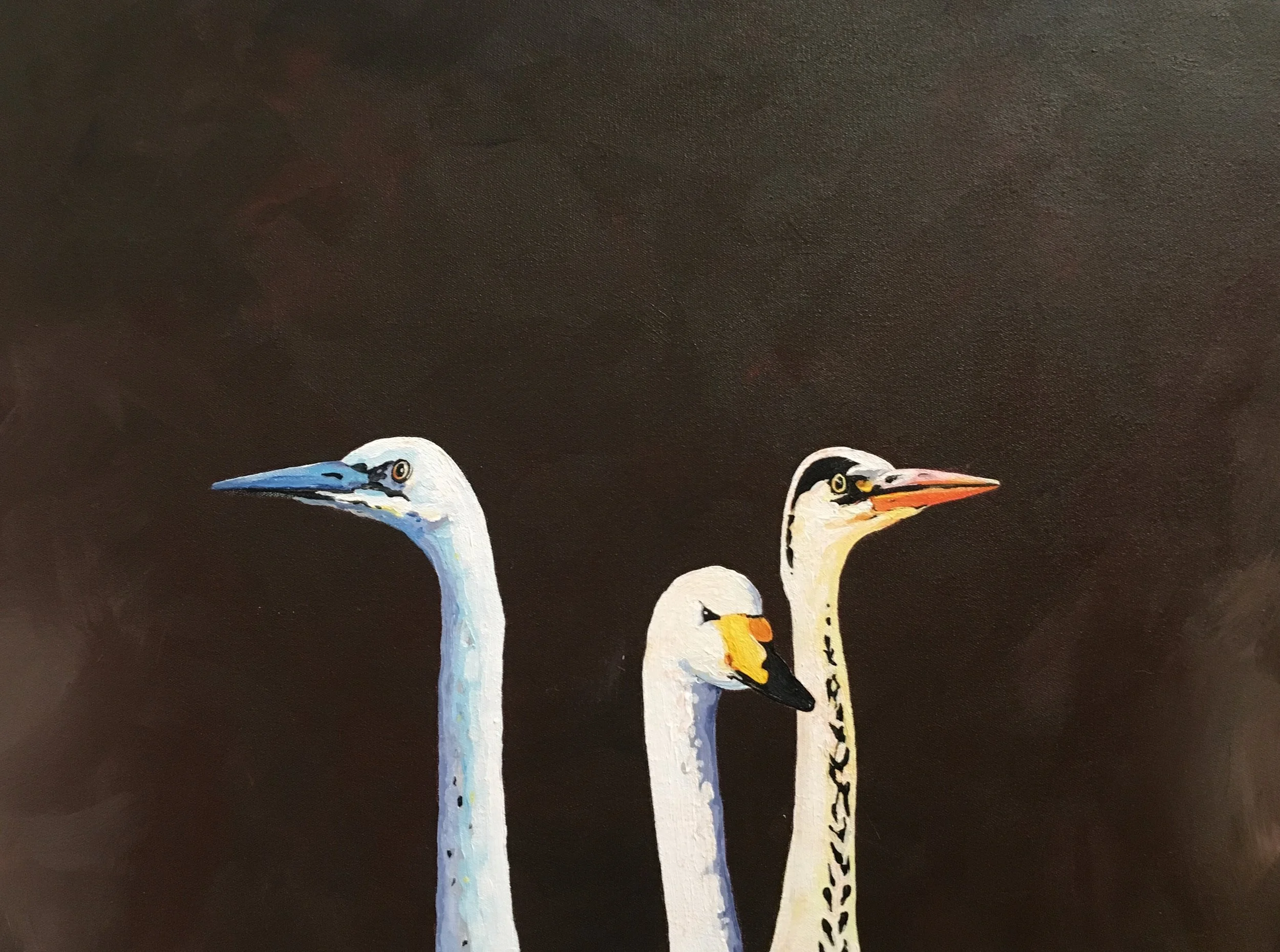 Taking the Auspices, 2018 (Copy) (Copy) (Copy)