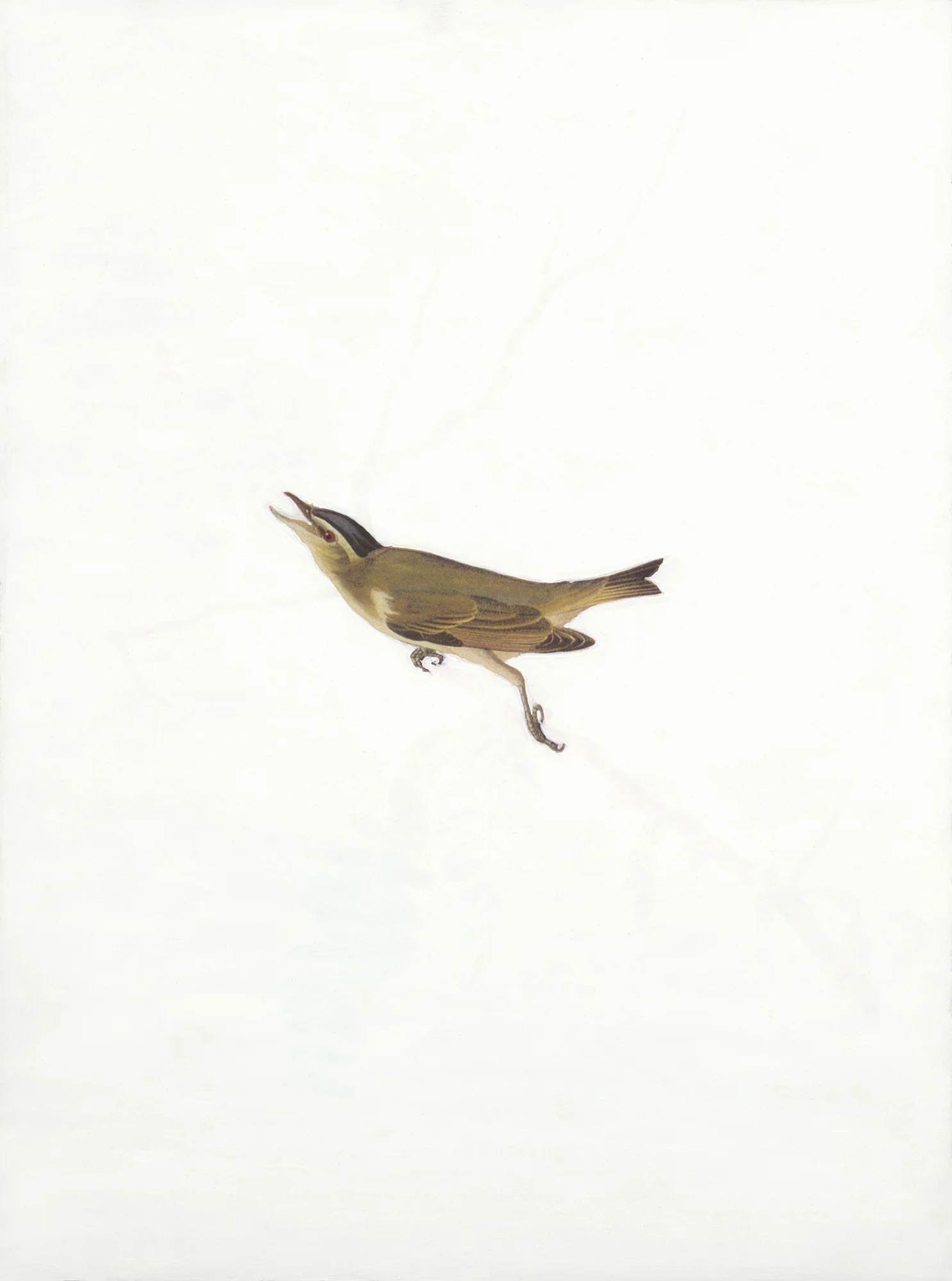 Soul Retrieval I, 2015 (Copy) (Copy) (Copy)