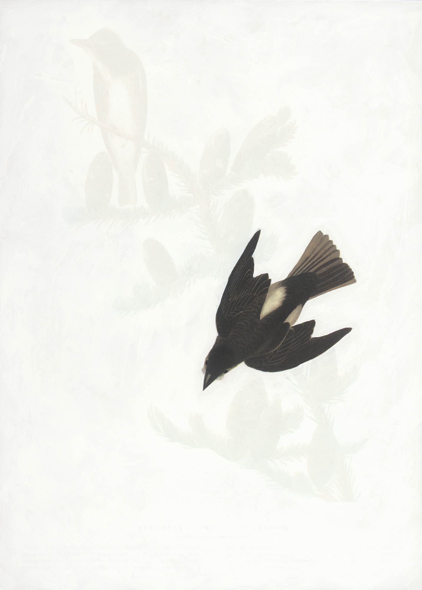 Soul Retrieval V, 2015 (Copy) (Copy) (Copy)
