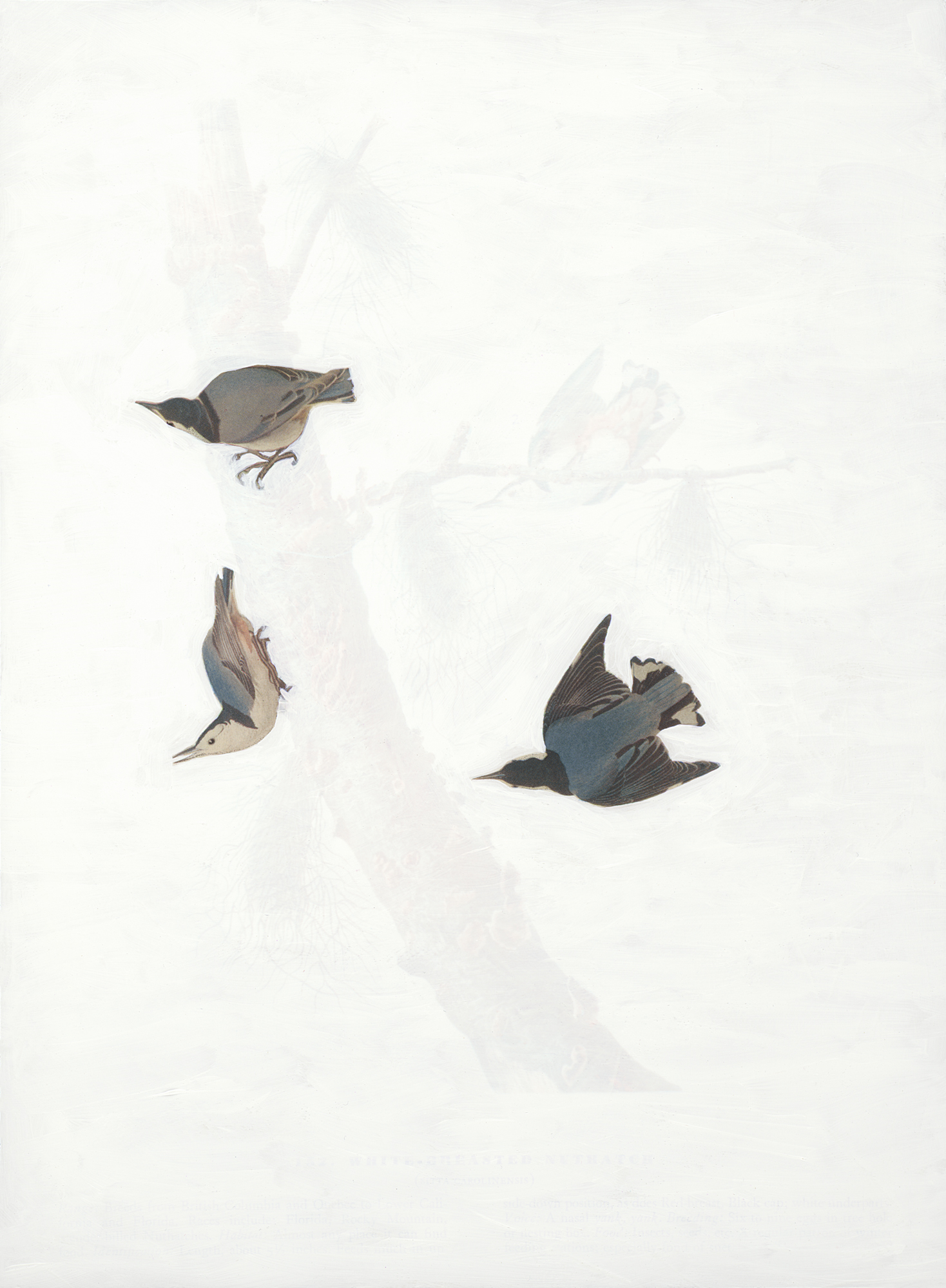 Soul Retrieval II, 2015 (Copy) (Copy) (Copy)