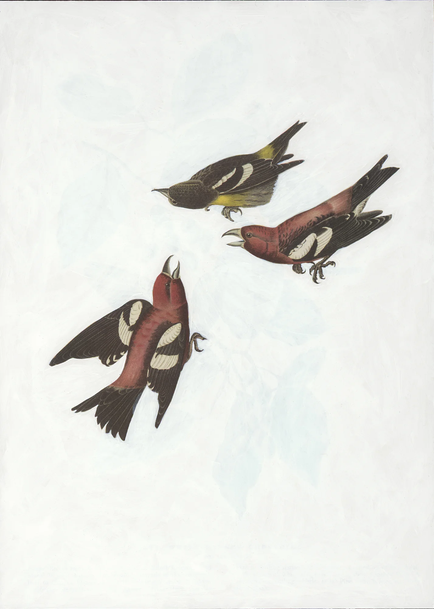Soul Retrieval VI, 2015 (Copy) (Copy) (Copy)