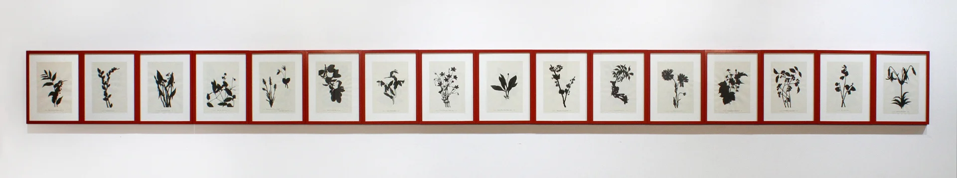 Carbon, 2014 (Copy) (Copy) (Copy)
