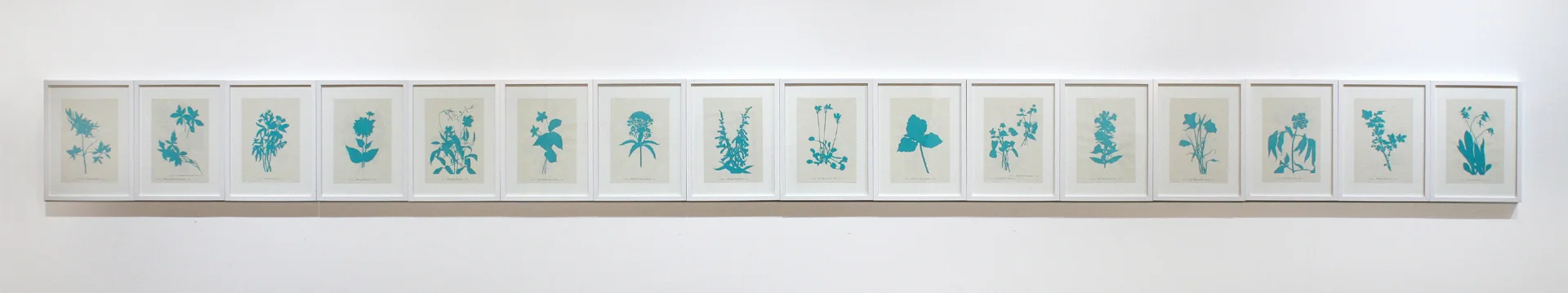 Light, 2014 (Copy) (Copy) (Copy)