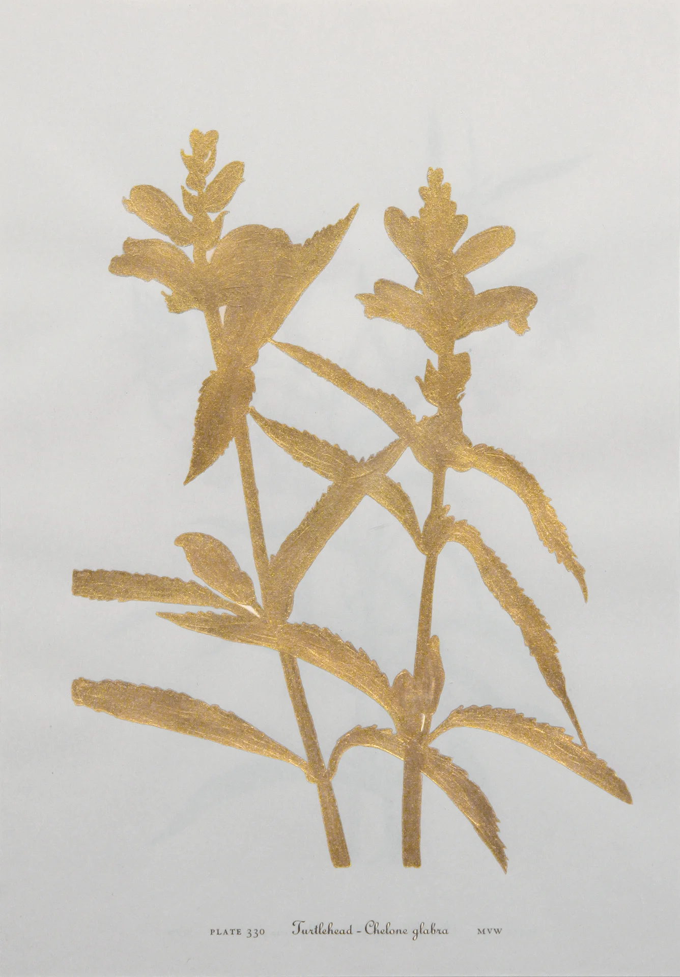Untitled, 2015 (Copy) (Copy) (Copy)