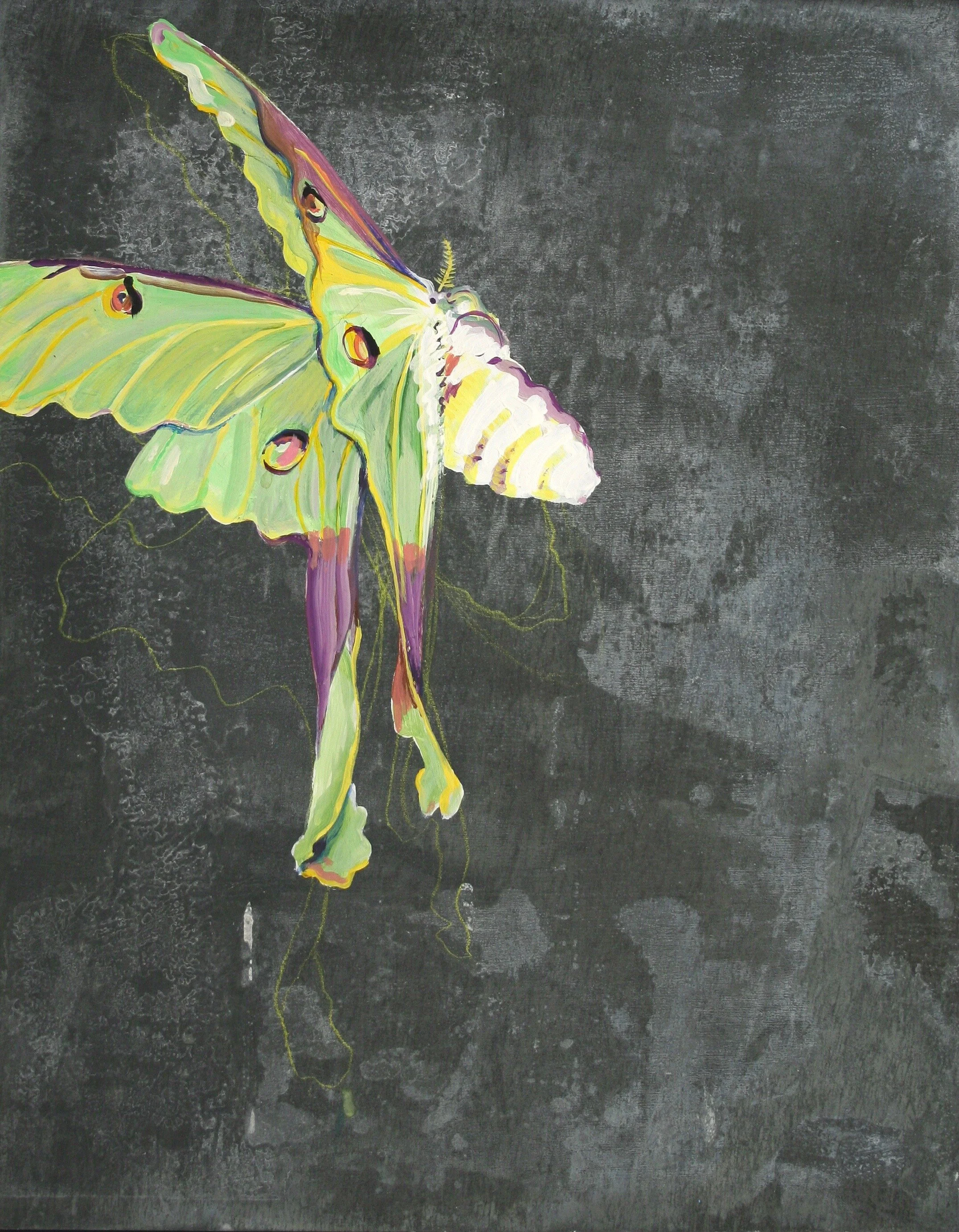 05 Michael Golden_art portfolio_11-14-07 2.jpg