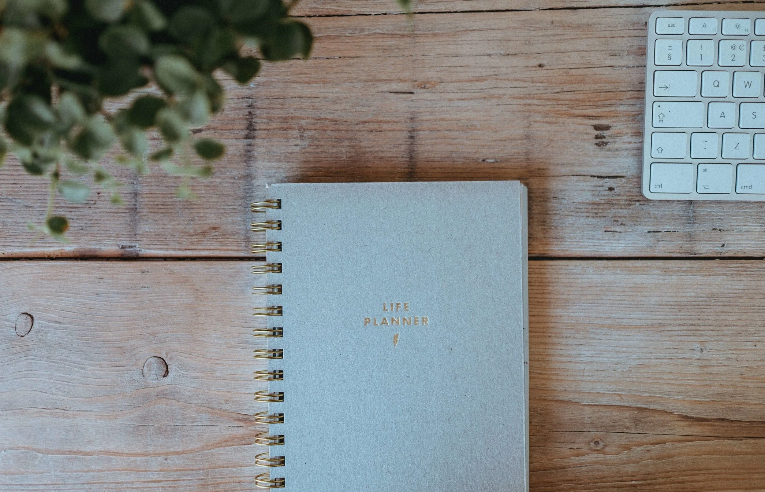 DAY PLANNER