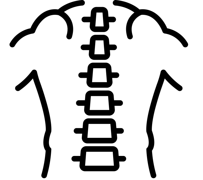noun_Spine_2513496.png