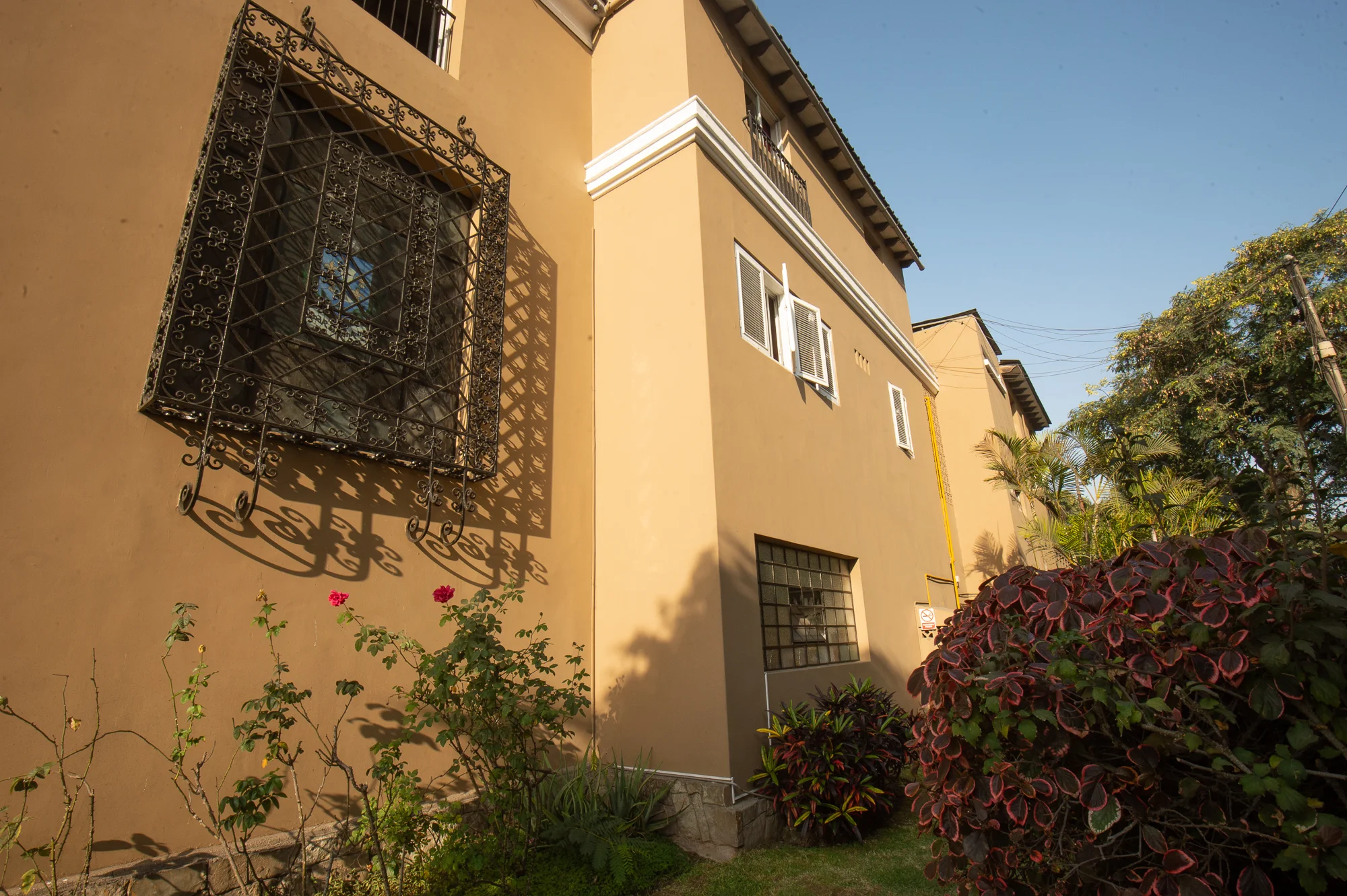 Hotel San Antonio Abad - External Garden II
