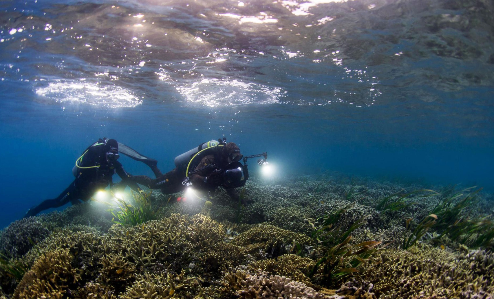 16_Palau seagrass assessment-W.jpg